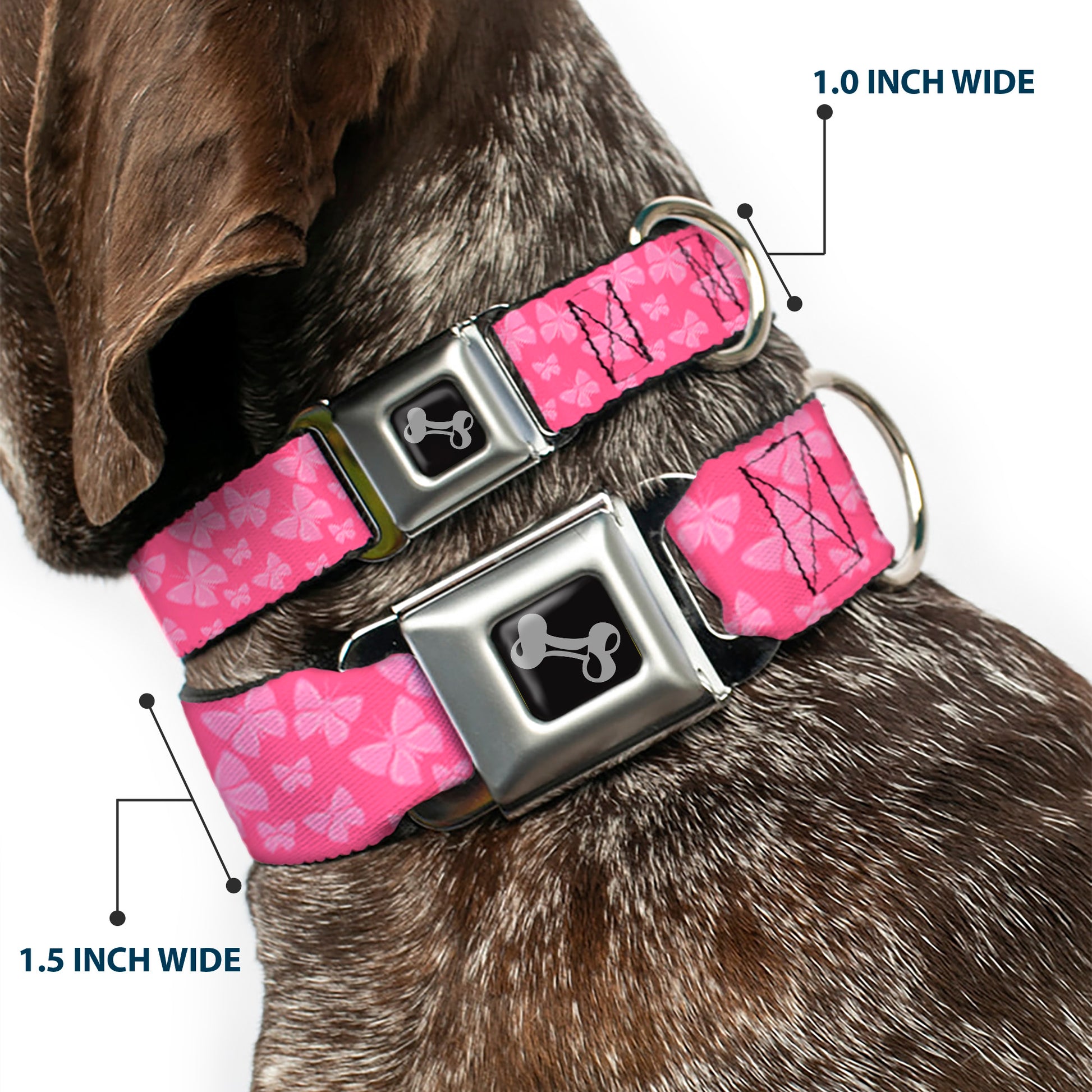 Dog Bone Seatbelt Buckle Collar - Butterflies Pink Seatbelt Buckle Collars Buckle-Down