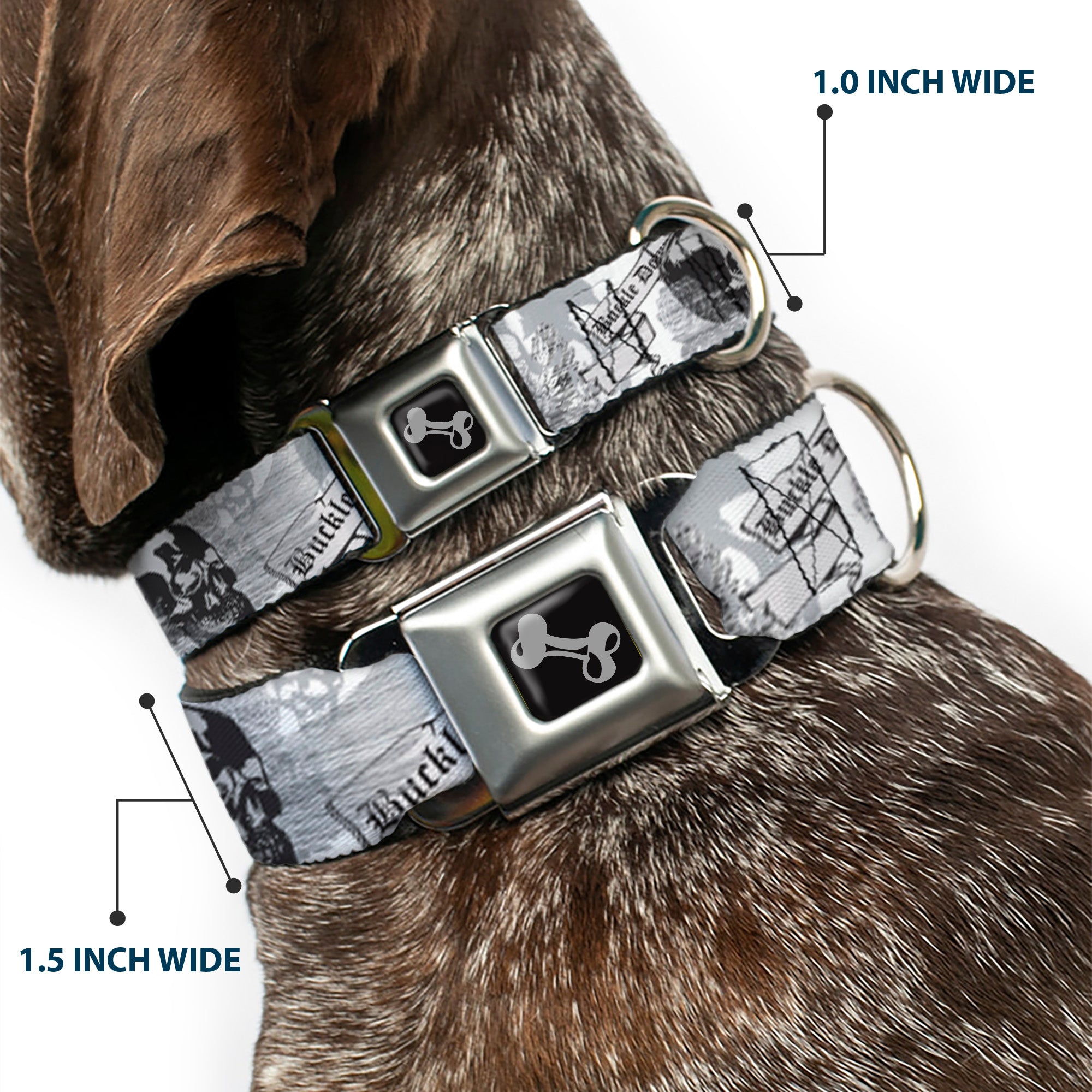 Dog Bone Seatbelt Buckle Collar - BD Skull w/Roses Seatbelt Buckle Collars Buckle-Down