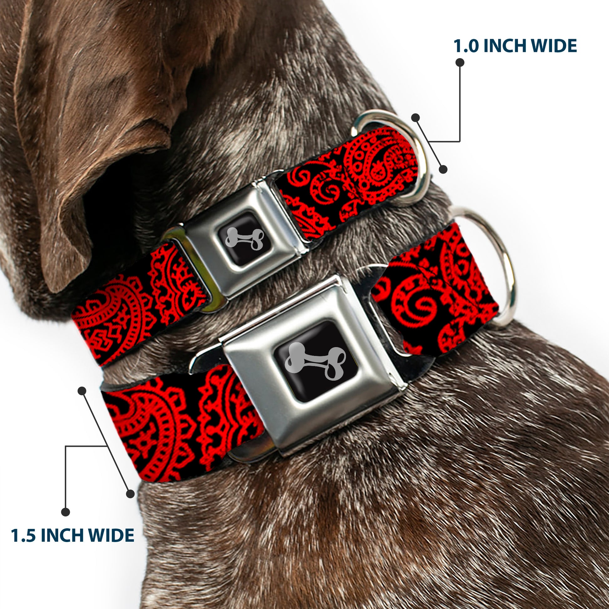 Dog Bone Seatbelt Buckle Collar - Bandana/Skulls Black/Red Seatbelt Buckle Collars Buckle-Down