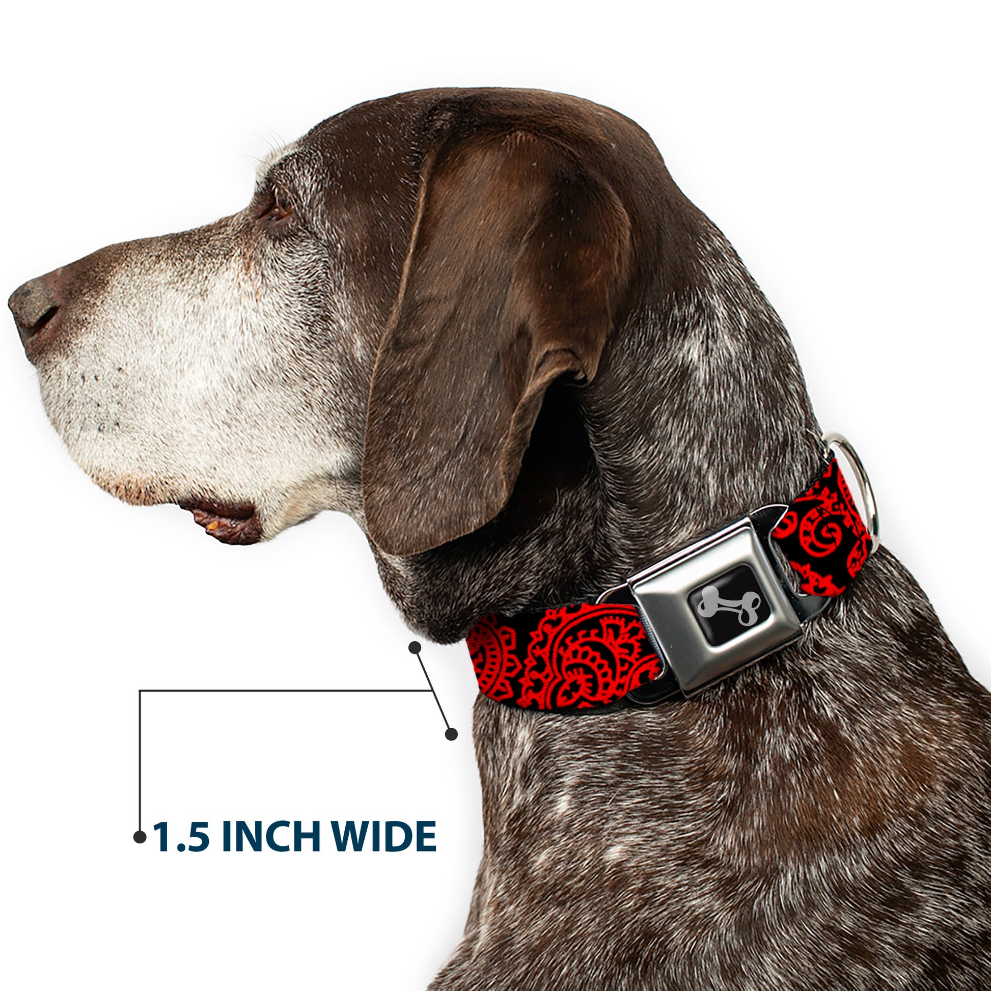 Dog Bone Seatbelt Buckle Collar - Bandana/Skulls Black/Red Seatbelt Buckle Collars Buckle-Down