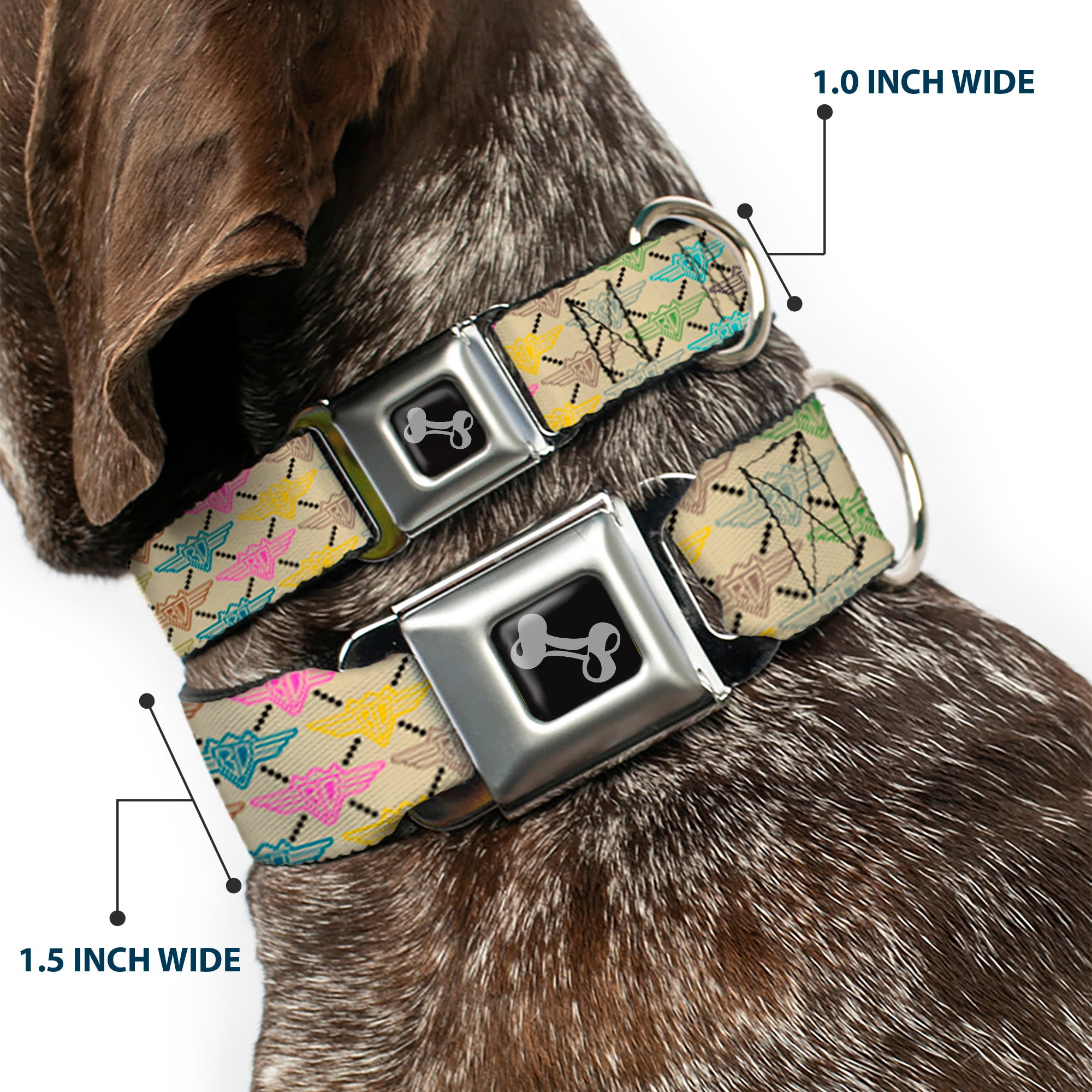 Dog Bone Seatbelt Buckle Collar - BD Monogram Tan/Multi Neon Seatbelt Buckle Collars Buckle-Down