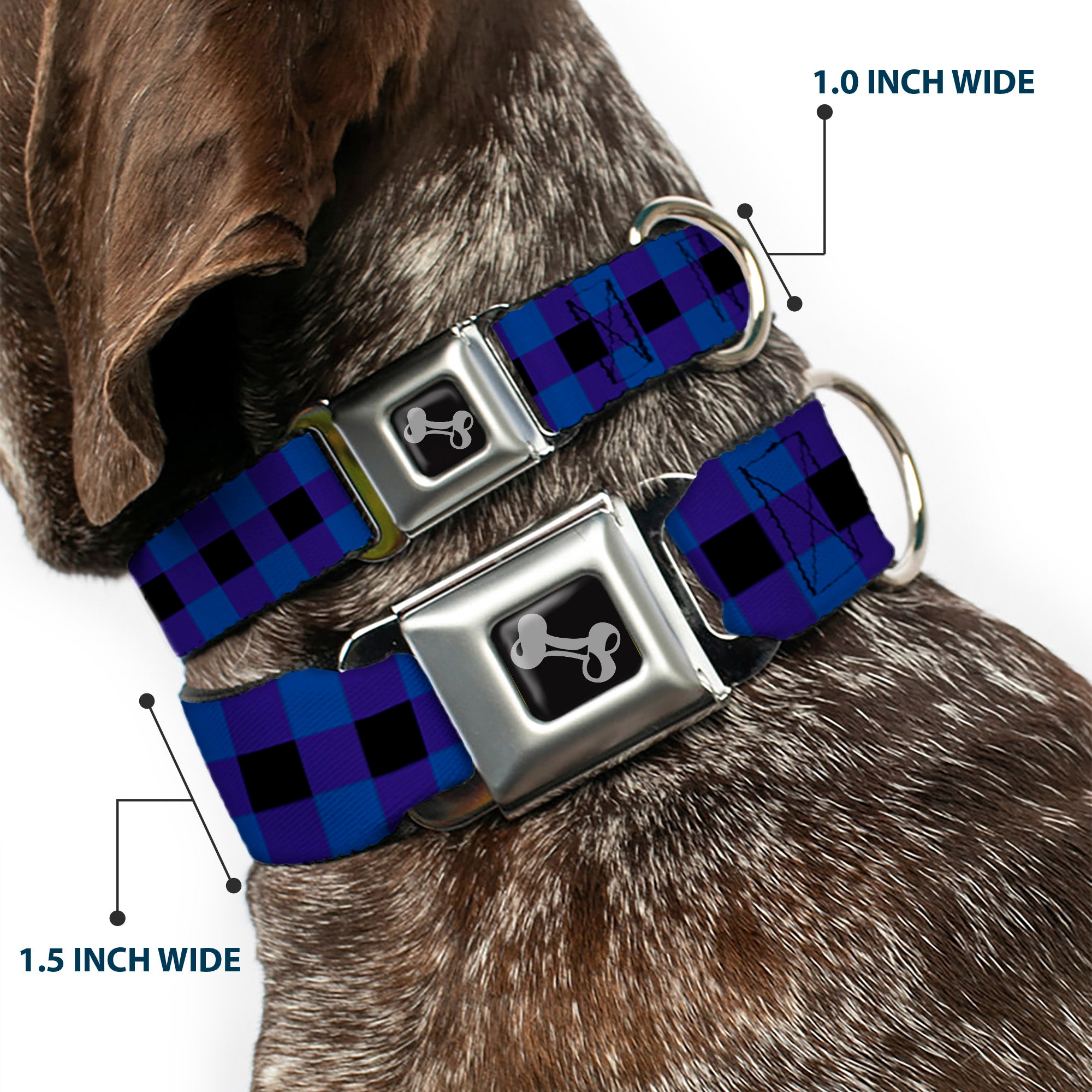 Dog Bone Seatbelt Buckle Collar - Buffalo Plaid Black/Blue Seatbelt Buckle Collars Buckle-Down