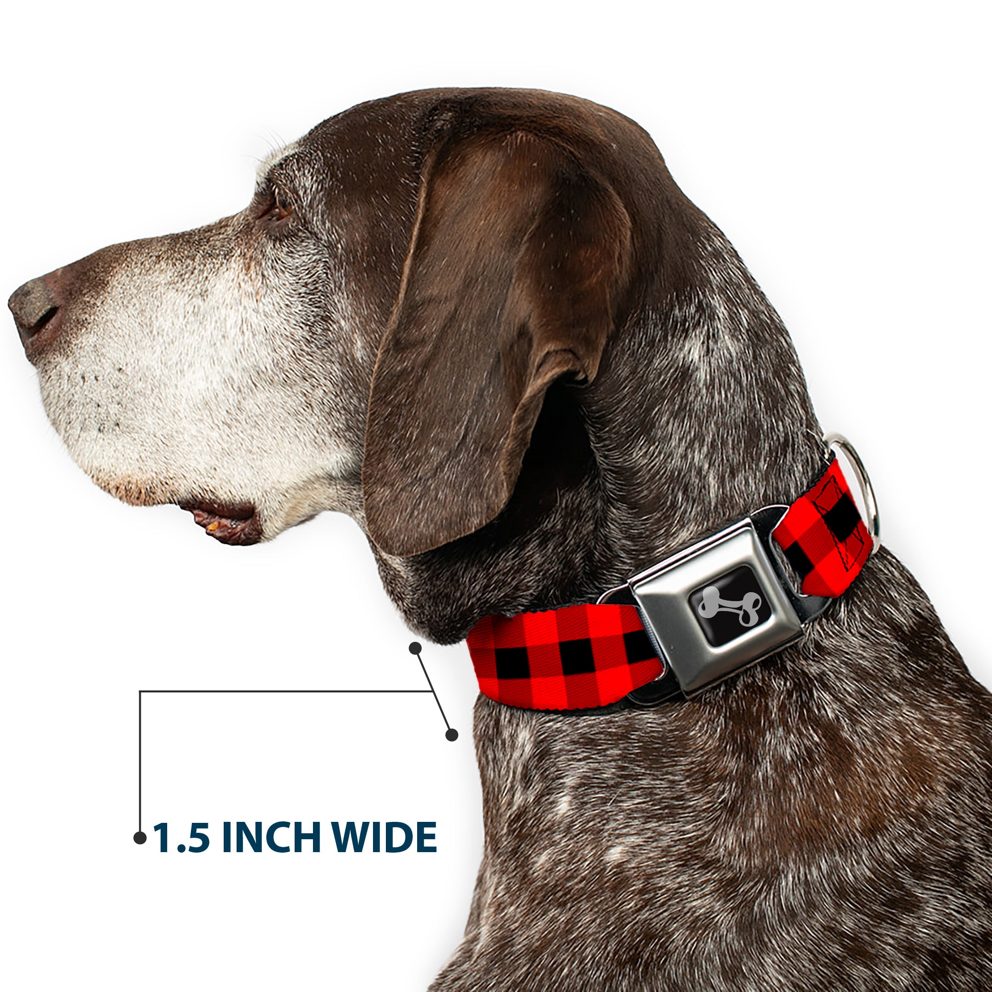Dog Bone Seatbelt Buckle Collar - Buffalo Plaid Black/Red Seatbelt Buckle Collars Buckle-Down