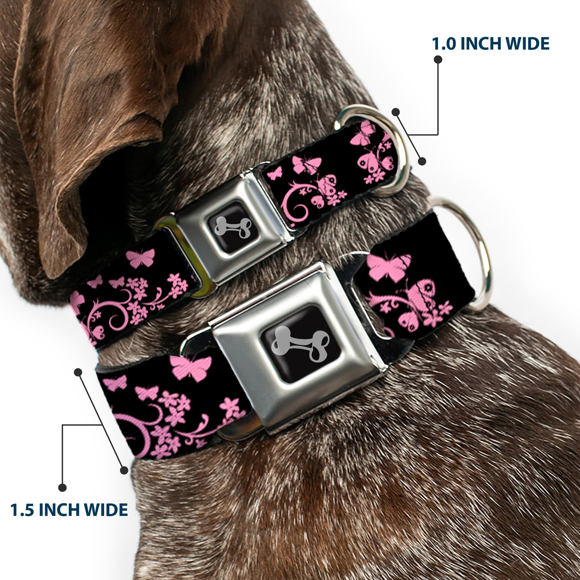 Dog Bone Seatbelt Buckle Collar - Butterfly Garden Black/Pink Seatbelt Buckle Collars Buckle-Down