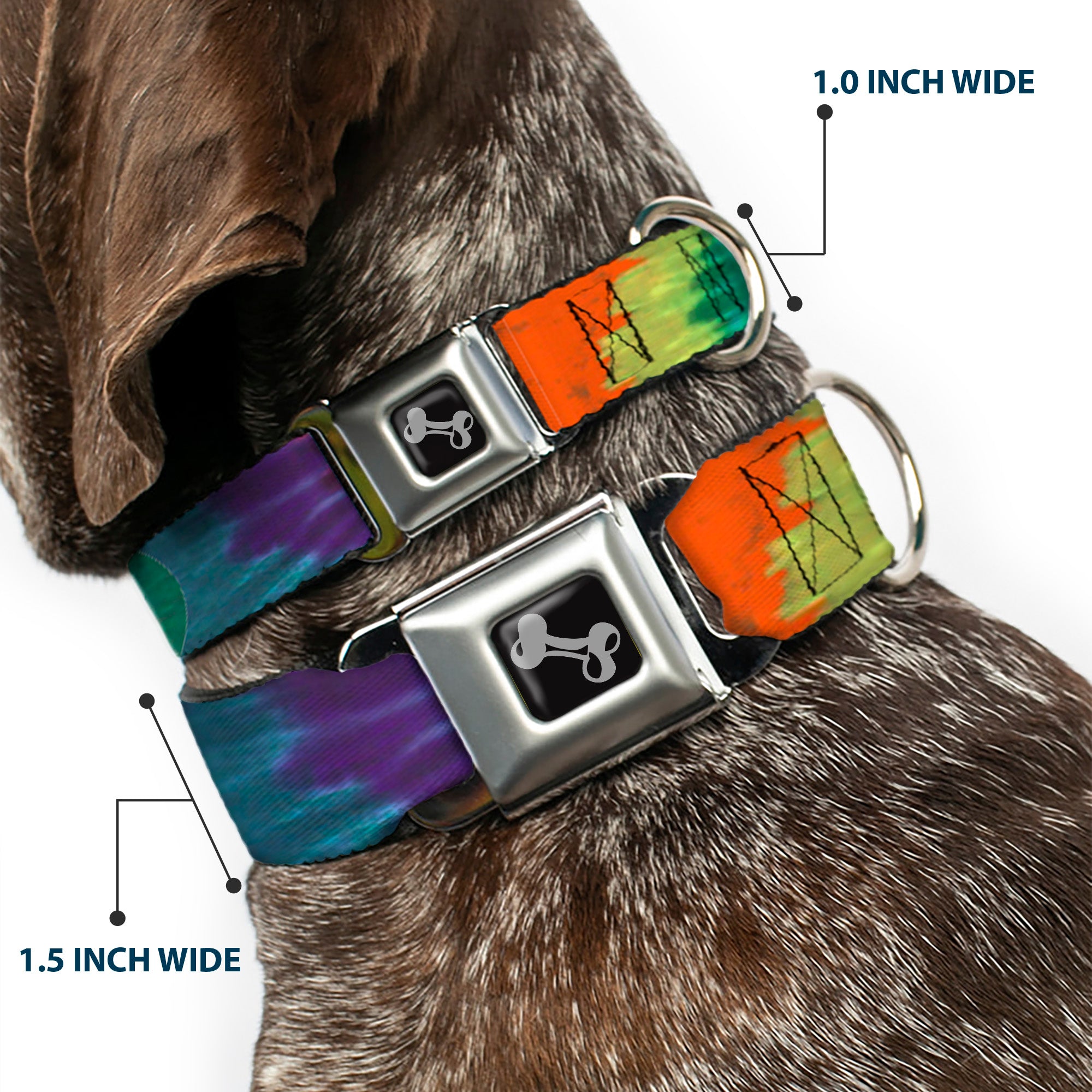 Dog Bone Seatbelt Buckle Collar - BD Tie Dye Seatbelt Buckle Collars Buckle-Down
