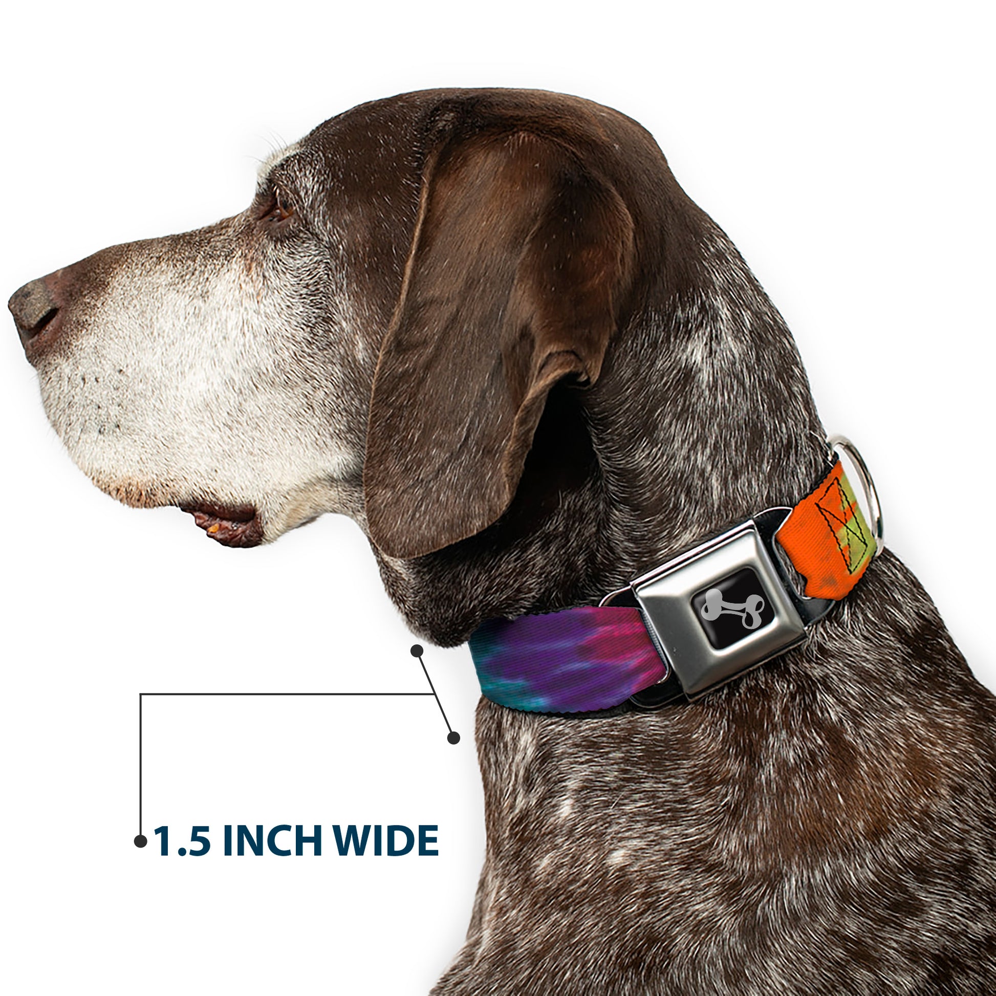Dog Bone Seatbelt Buckle Collar - BD Tie Dye Seatbelt Buckle Collars Buckle-Down
