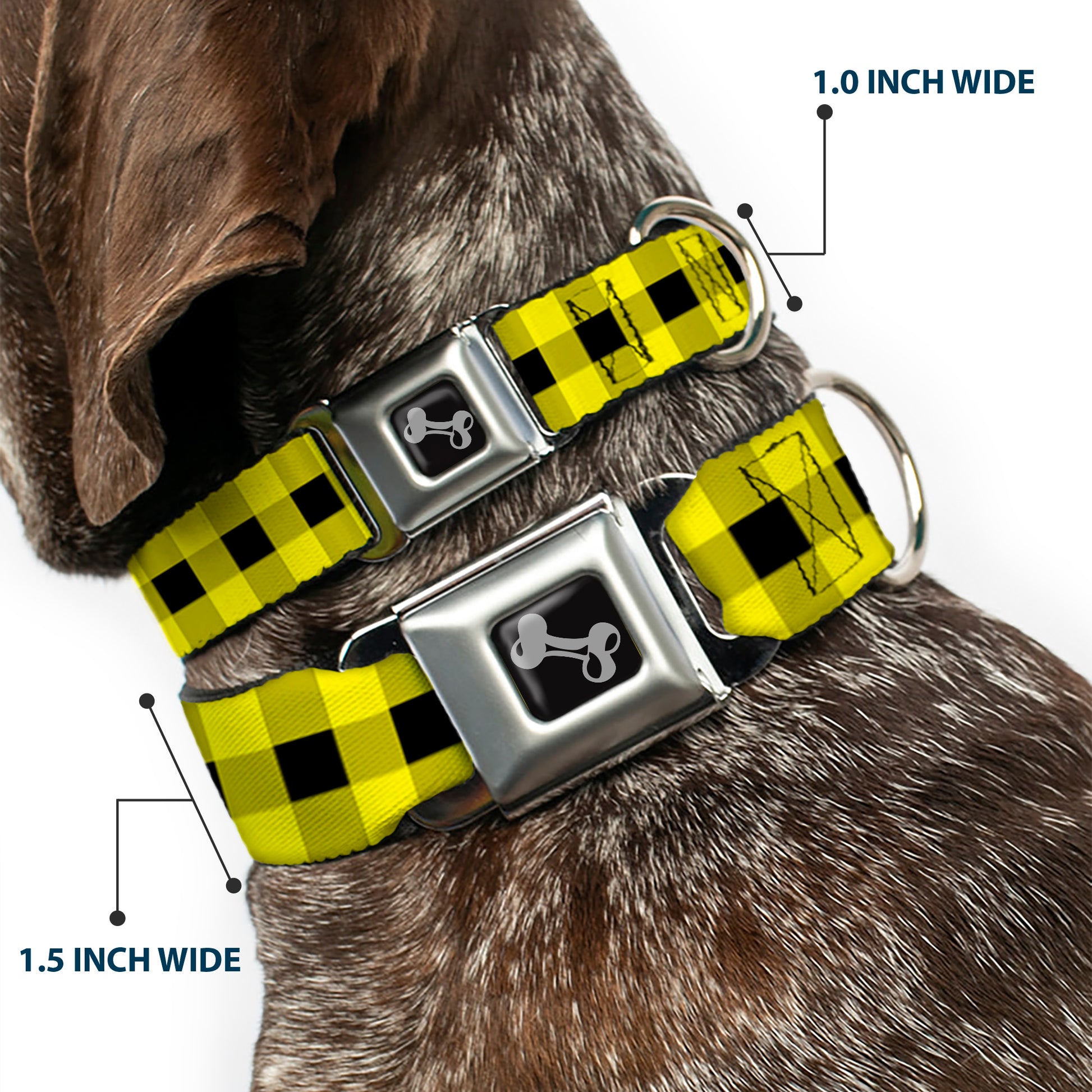Dog Bone Seatbelt Buckle Collar - Buffalo Plaid Black/Neon Yellow Seatbelt Buckle Collars Buckle-Down