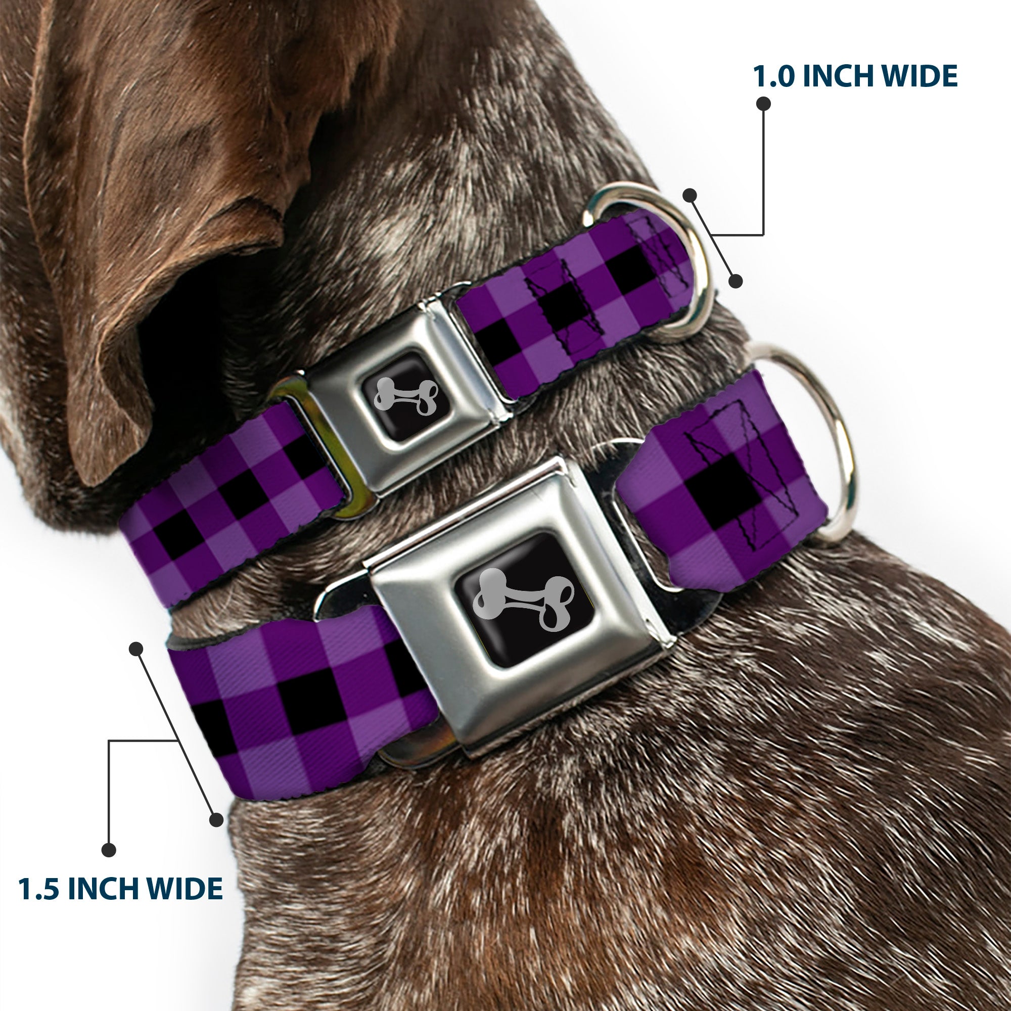 Dog Bone Seatbelt Buckle Collar - Buffalo Plaid Black/Purple Seatbelt Buckle Collars Buckle-Down