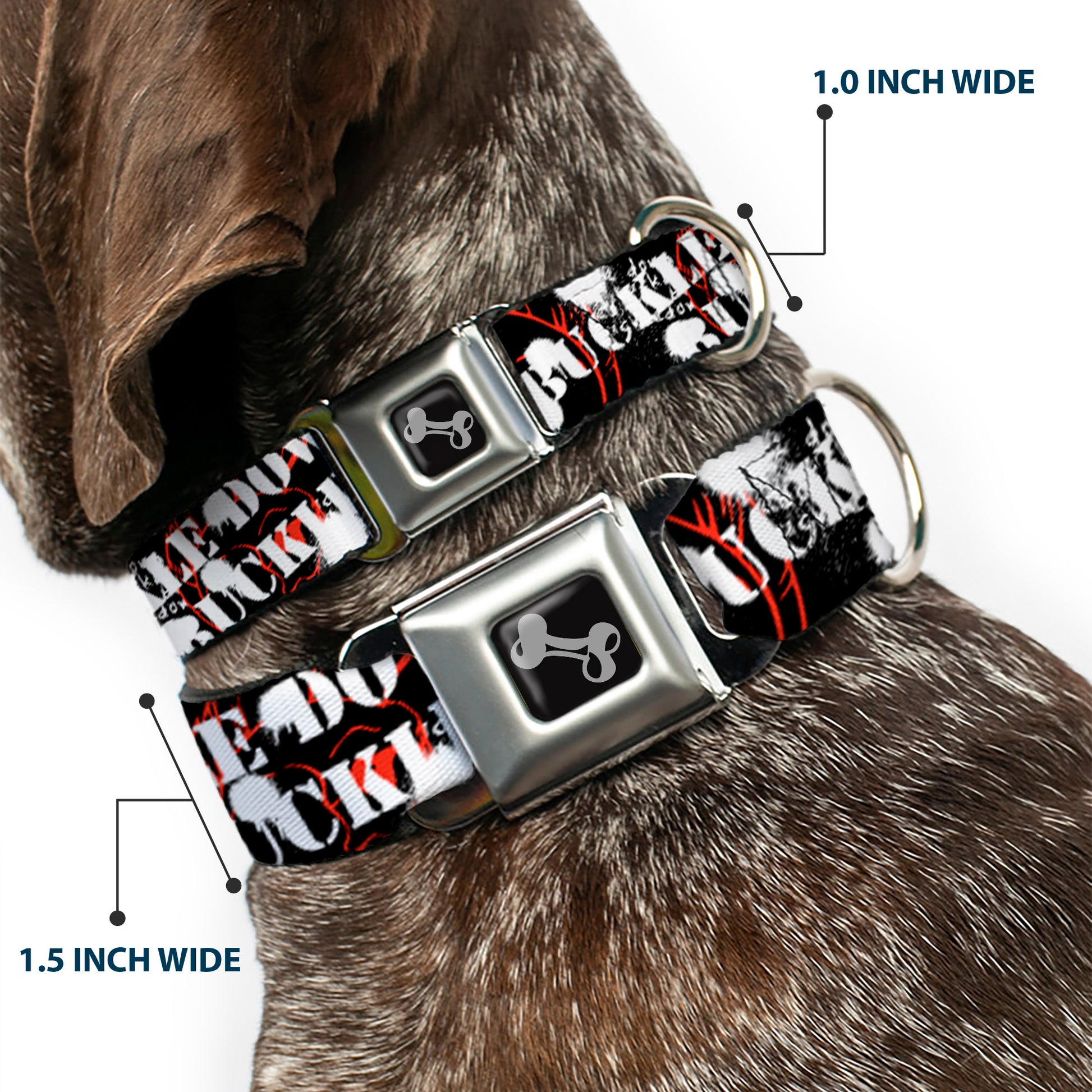 Dog Bone Seatbelt Buckle Collar - BD Punk Seatbelt Buckle Collars Buckle-Down