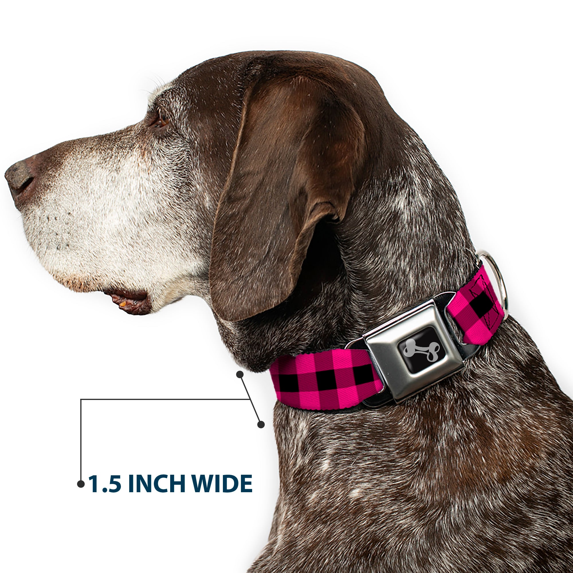 Dog Bone Seatbelt Buckle Collar - Buffalo Plaid Black/Fuchsia Seatbelt Buckle Collars Buckle-Down