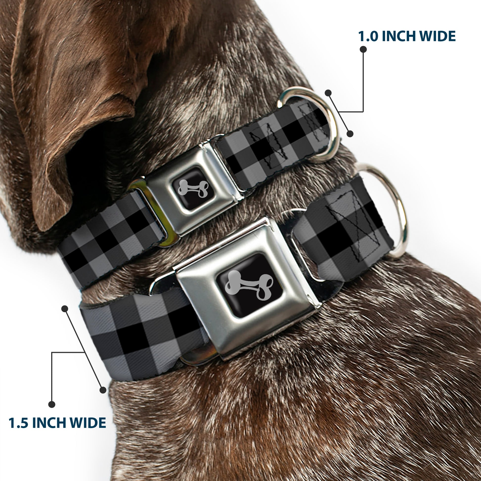 Dog Bone Seatbelt Buckle Collar - Buffalo Plaid Black/Gray Seatbelt Buckle Collars Buckle-Down