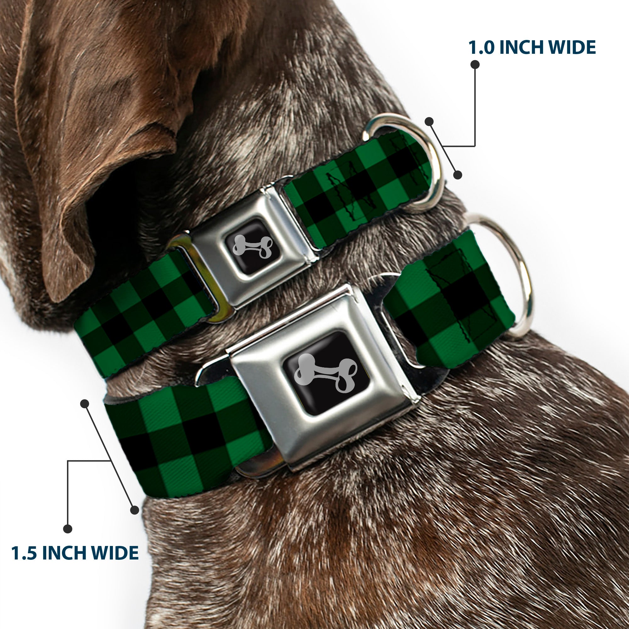 Dog Bone Seatbelt Buckle Collar - Buffalo Plaid Black/Green Seatbelt Buckle Collars Buckle-Down