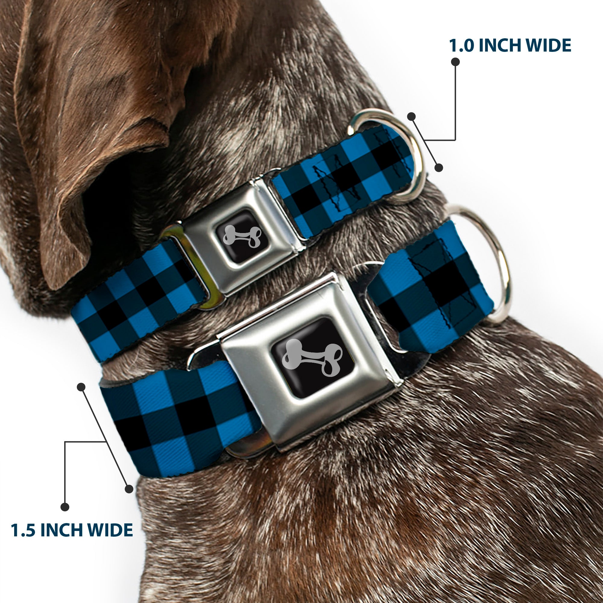 Dog Bone Seatbelt Buckle Collar - Buffalo Plaid Black/Turquoise Seatbelt Buckle Collars Buckle-Down
