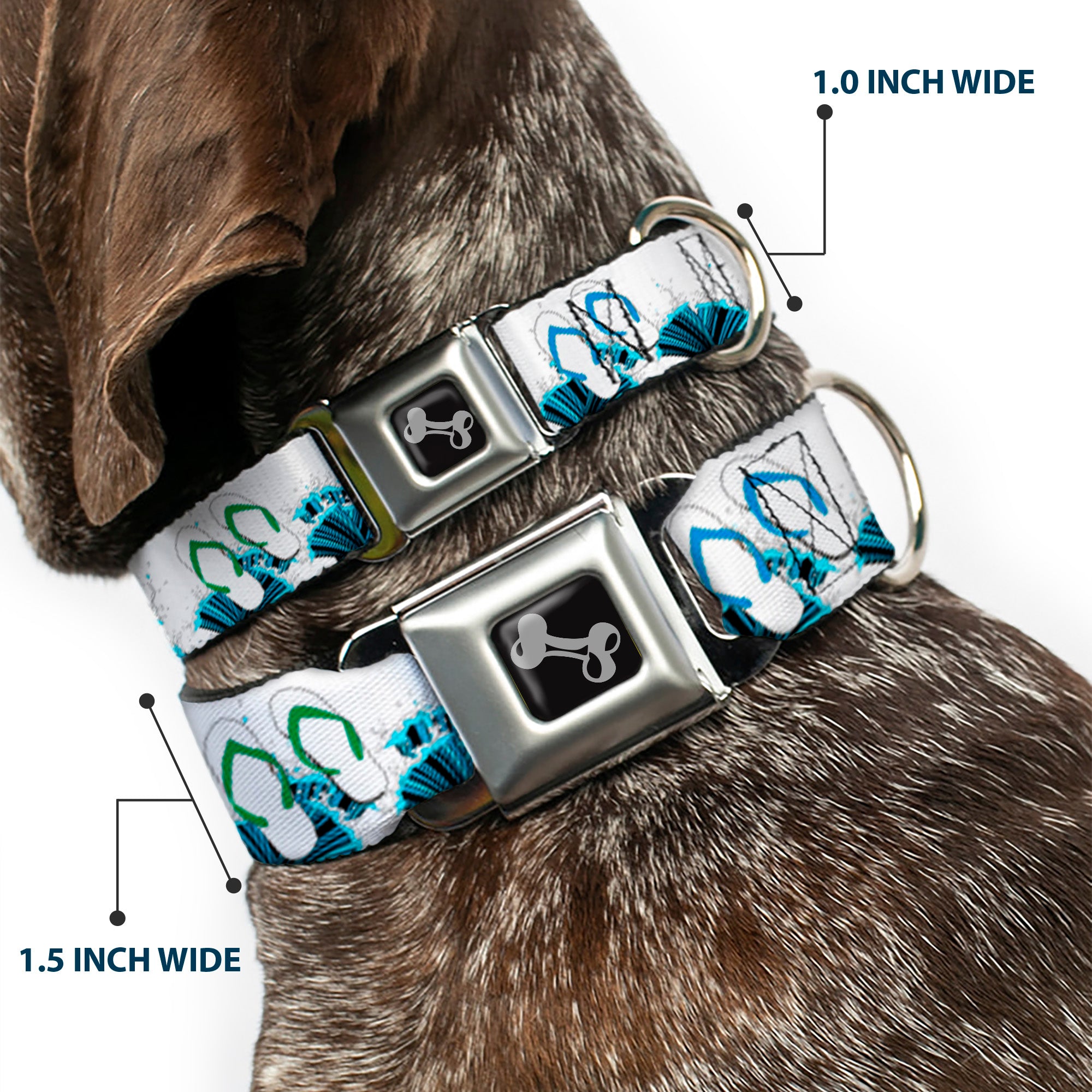 Dog Bone Seatbelt Buckle Collar - Beach Flip Flops Seatbelt Buckle Collars Buckle-Down