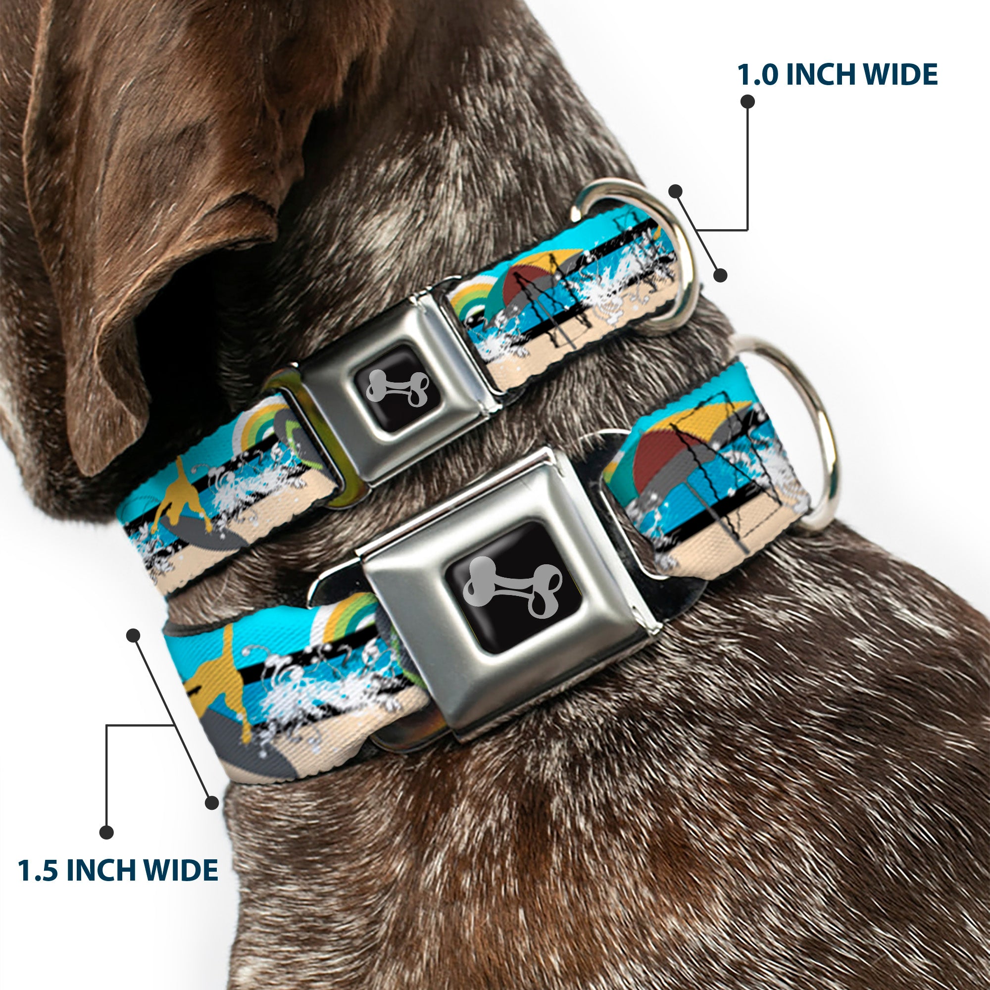 Dog Bone Seatbelt Buckle Collar - Beach Scene 1 Seatbelt Buckle Collars Buckle-Down