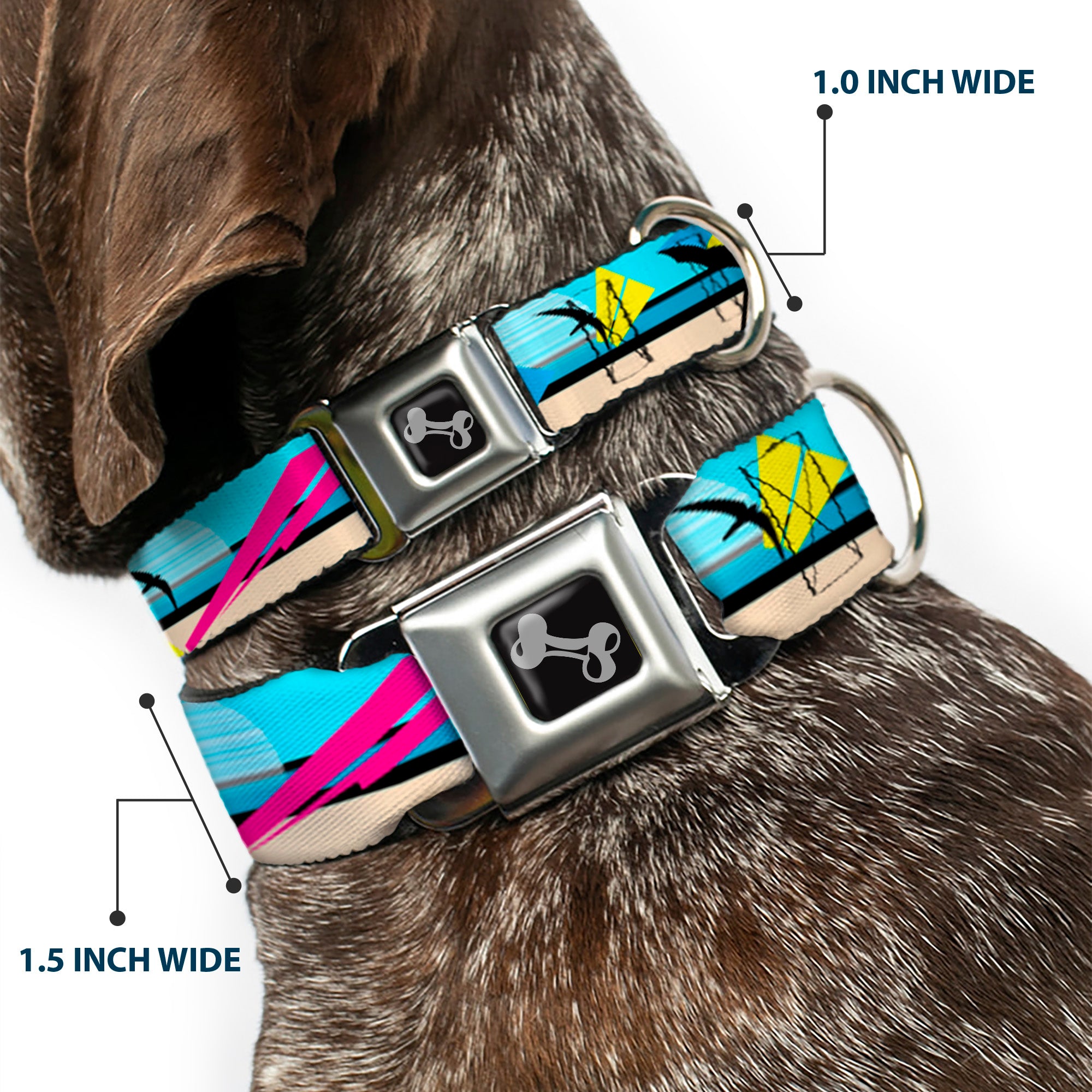 Dog Bone Seatbelt Buckle Collar - Beach Scene 2 Seatbelt Buckle Collars Buckle-Down