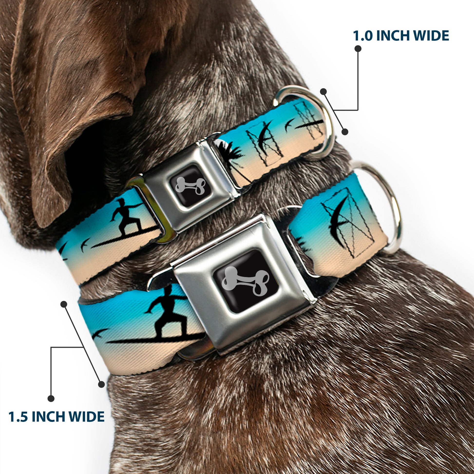 Dog Bone Seatbelt Buckle Collar - Beach Surfer Seatbelt Buckle Collars Buckle-Down