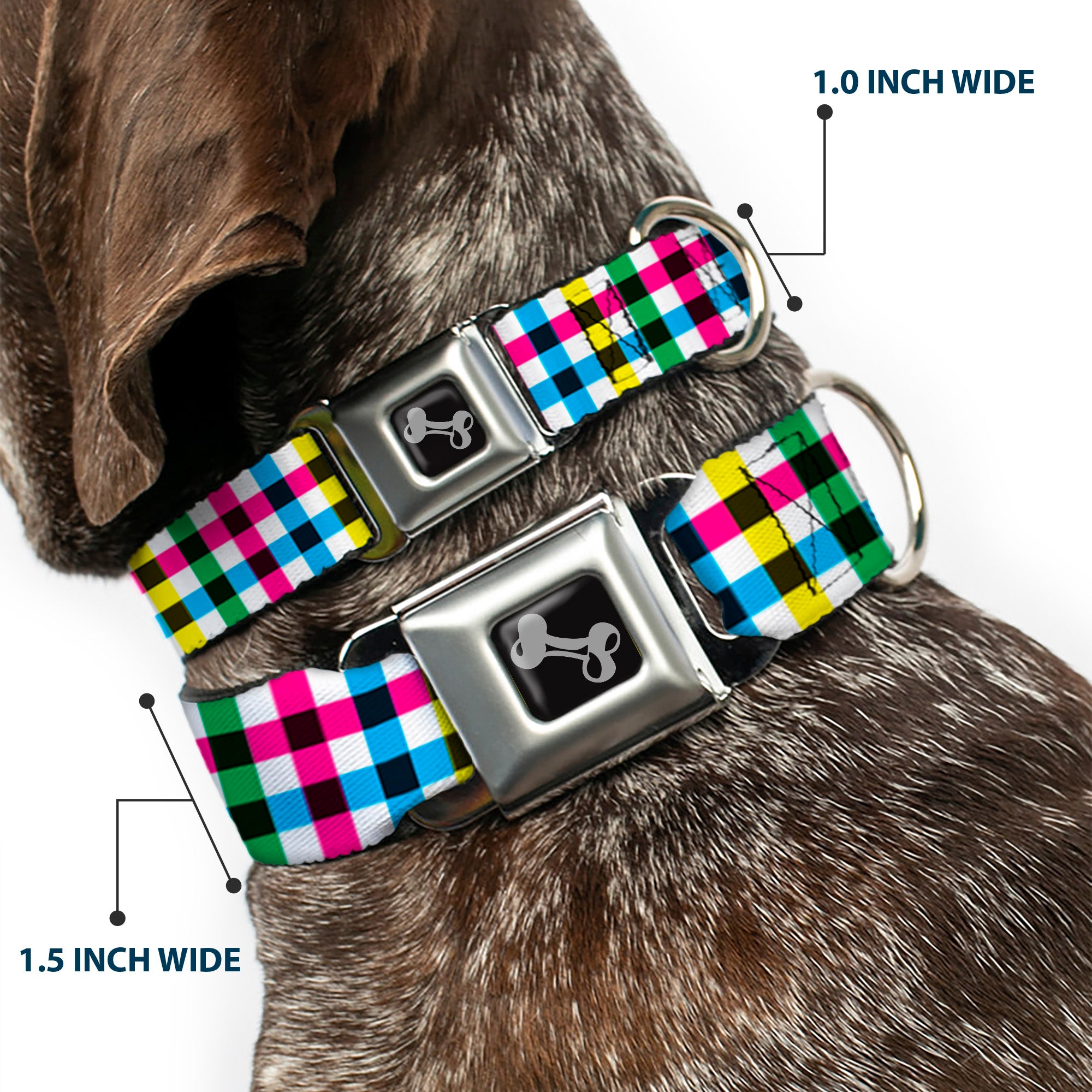 Dog Bone Seatbelt Buckle Collar - Buffalo Plaid White/Multi Color Seatbelt Buckle Collars Buckle-Down