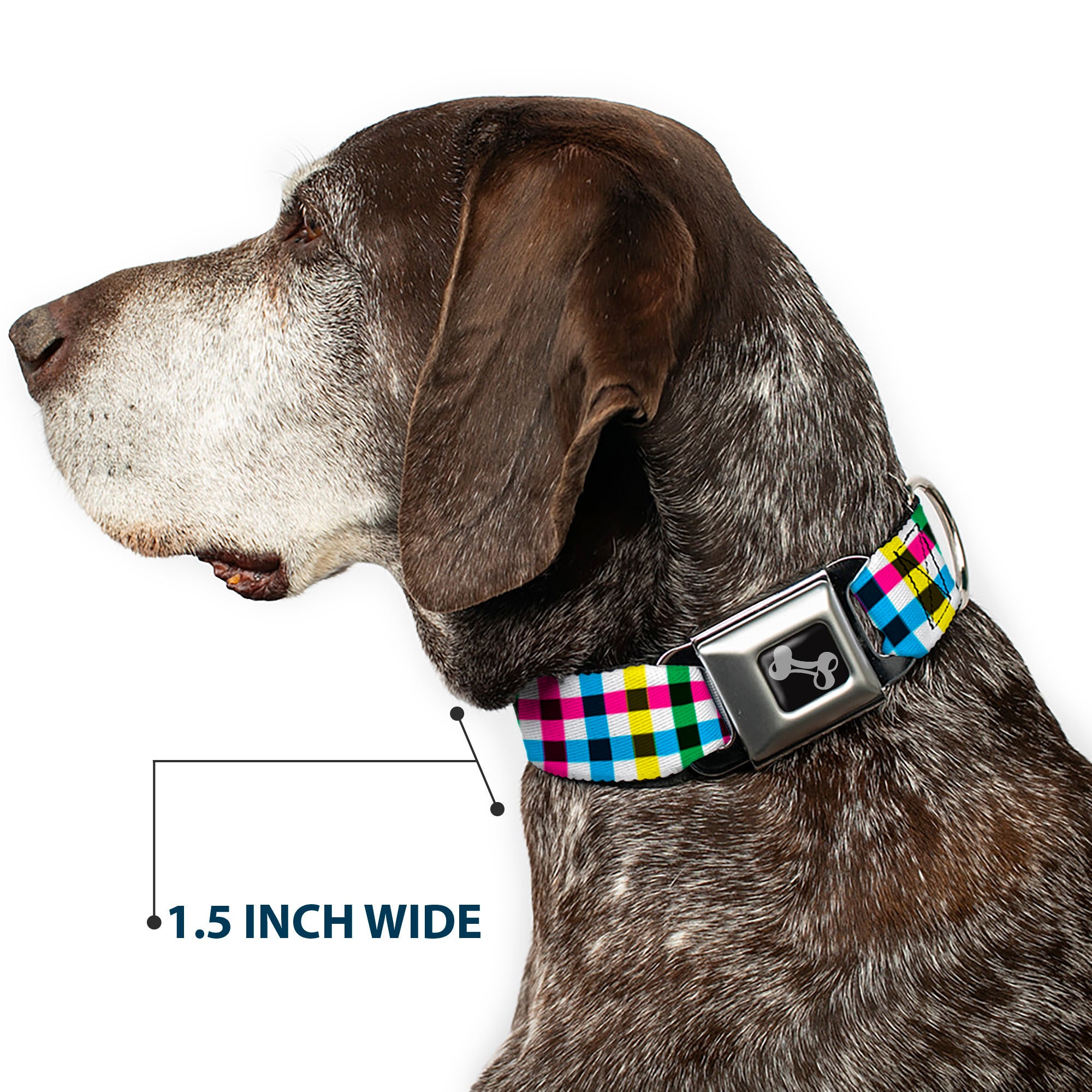Dog Bone Seatbelt Buckle Collar - Buffalo Plaid White/Multi Color Seatbelt Buckle Collars Buckle-Down