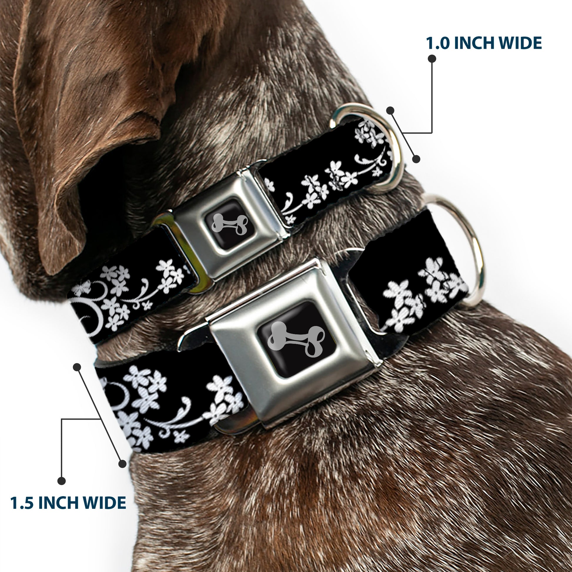 Dog Bone Seatbelt Buckle Collar - Butterfly Garden2 Black/White Seatbelt Buckle Collars Buckle-Down