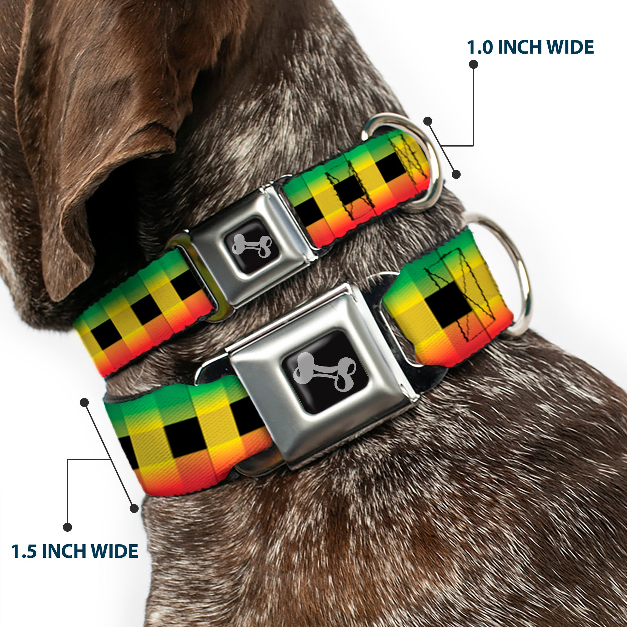 Dog Bone Seatbelt Buckle Collar - Buffalo Plaid Rasta Seatbelt Buckle Collars Buckle-Down