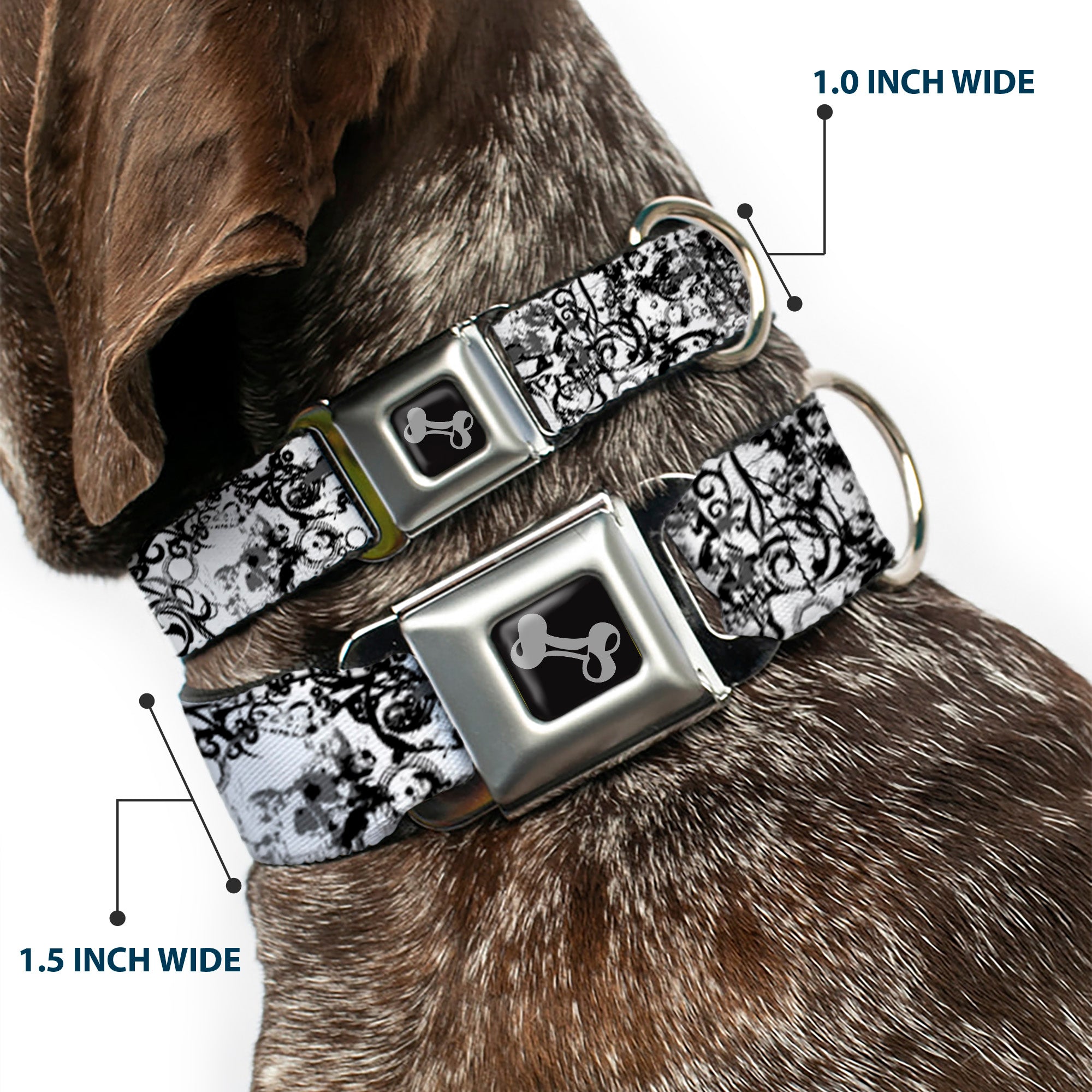 Dog Bone Seatbelt Buckle Collar - BD Chaos Seatbelt Buckle Collars Buckle-Down