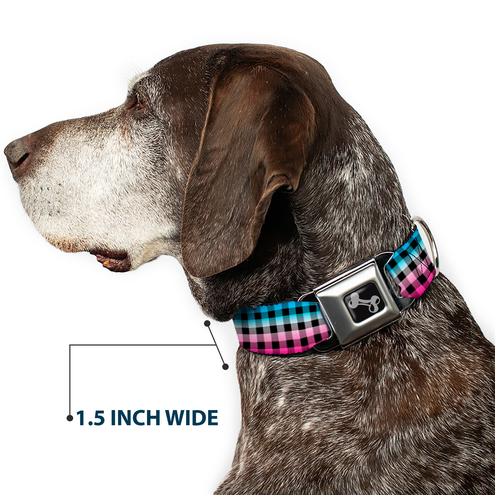 Dog Bone Seatbelt Buckle Collar - Buffalo Plaid Turquoise/Fuchsia Fade Seatbelt Buckle Collars Buckle-Down