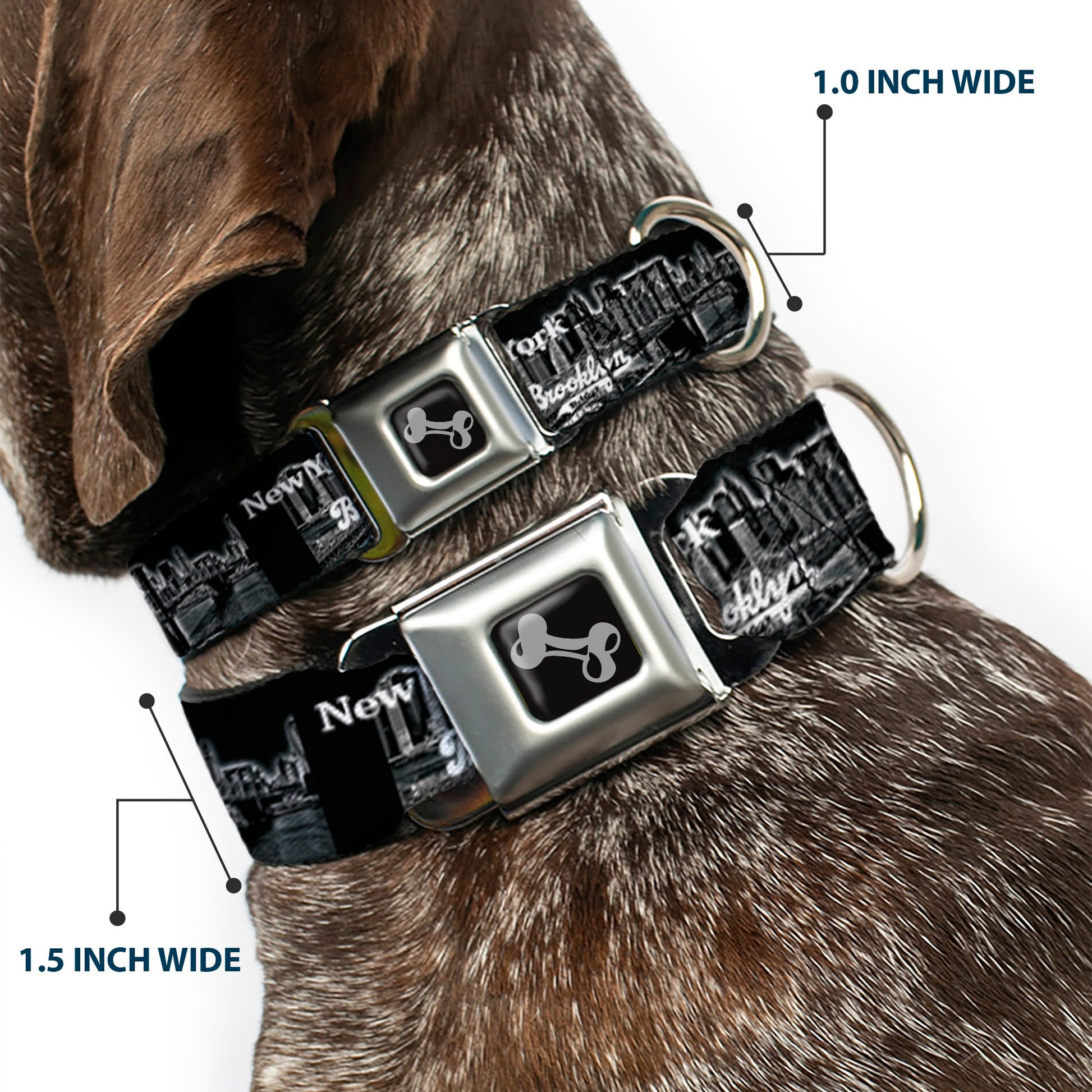 Dog Bone Seatbelt Buckle Collar - Brooklyn New York Seatbelt Buckle Collars Buckle-Down