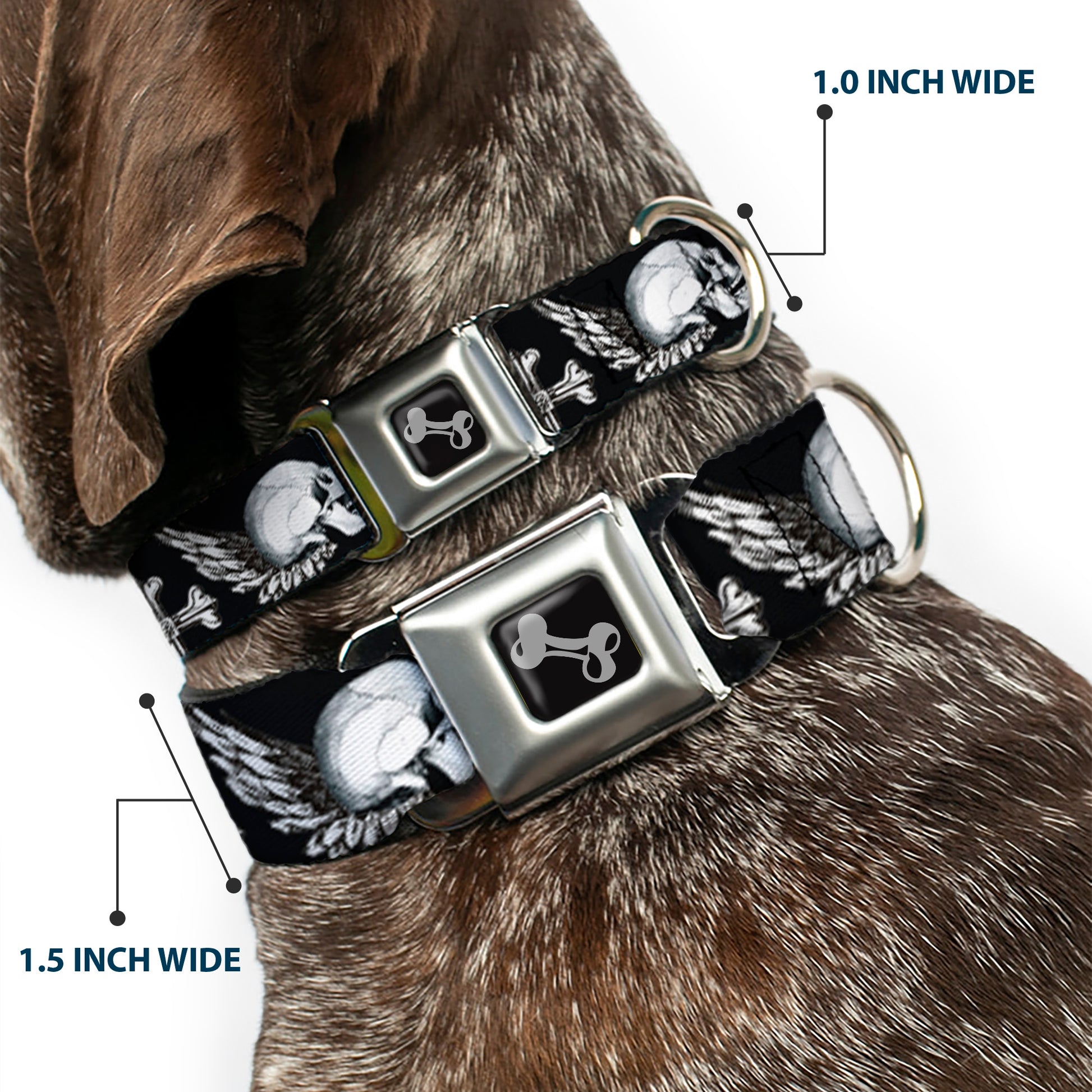 Dog Bone Seatbelt Buckle Collar - BD Skulls w/Wings Black/White Seatbelt Buckle Collars Buckle-Down