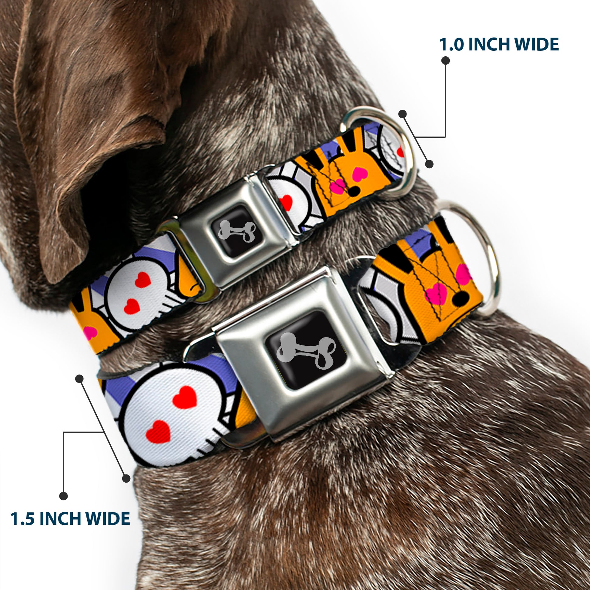 Dog Bone Seatbelt Buckle Collar - BD Cartoon CLOSE-UP Seatbelt Buckle Collars Buckle-Down