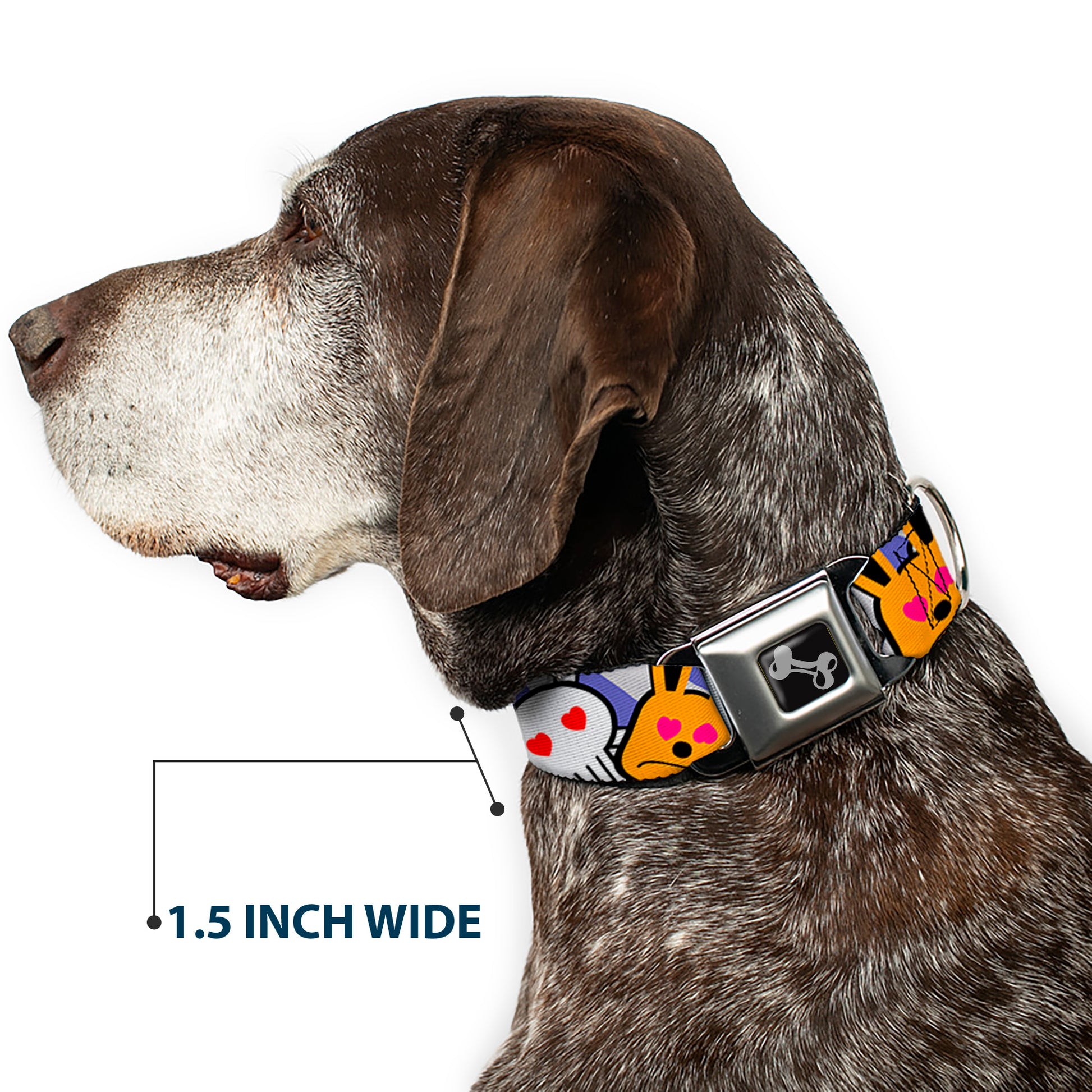 Dog Bone Seatbelt Buckle Collar - BD Cartoon CLOSE-UP Seatbelt Buckle Collars Buckle-Down