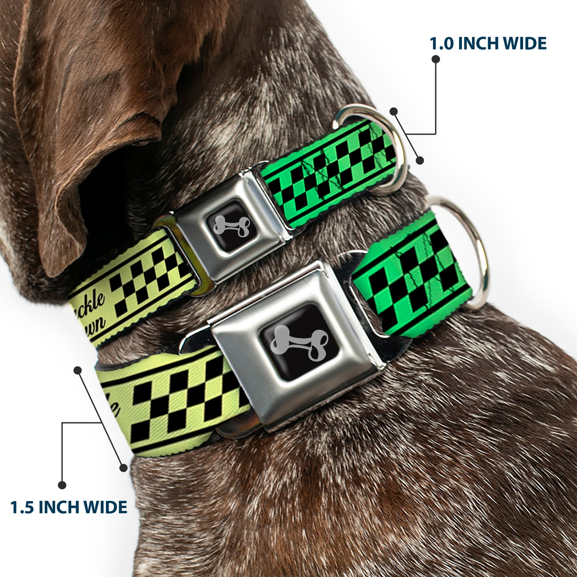 Dog Bone Seatbelt Buckle Collar - Buckle-Down Cab Stripe Green/Yellow Fade Seatbelt Buckle Collars Buckle-Down