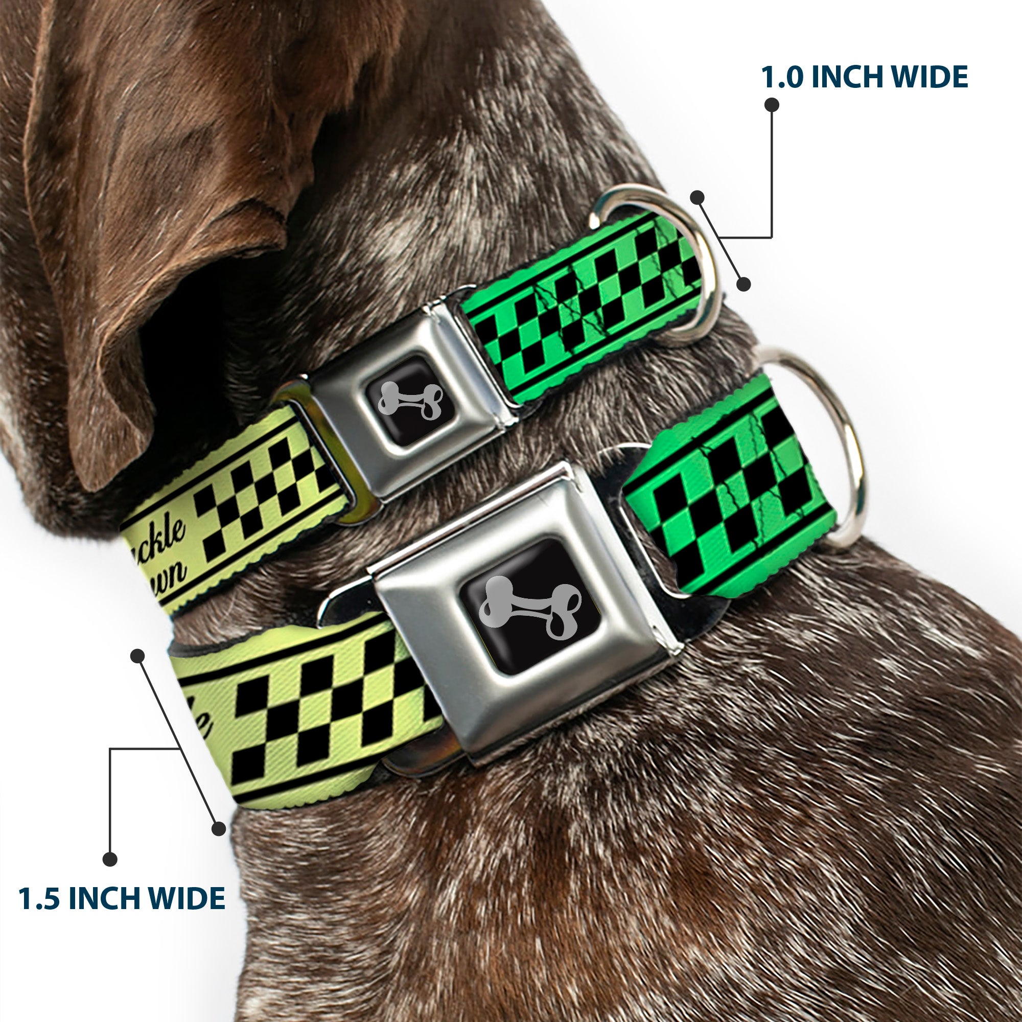 Dog Bone Seatbelt Buckle Collar - Buckle-Down Cab Stripe Green/Yellow Fade Seatbelt Buckle Collars Buckle-Down