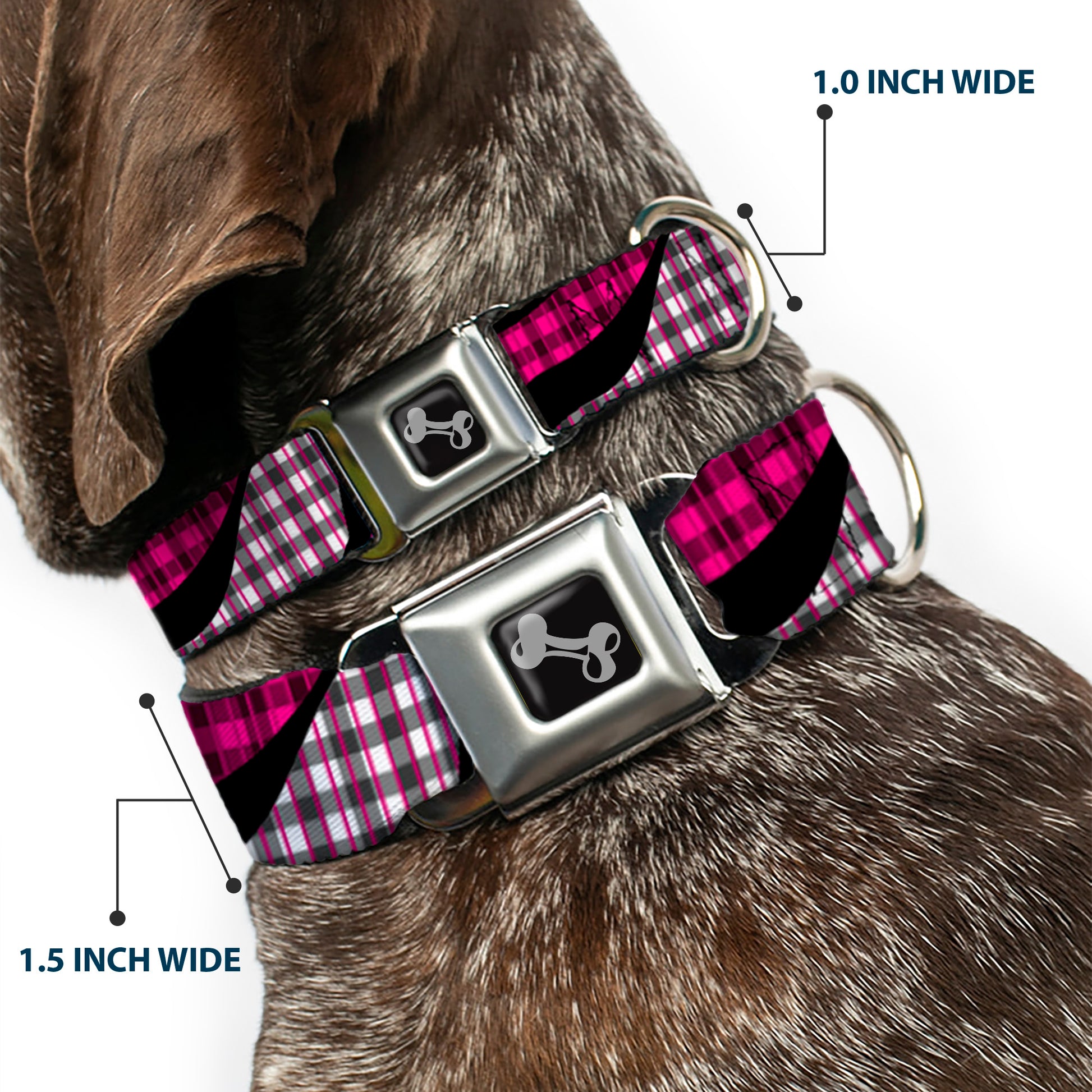 Dog Bone Seatbelt Buckle Collar - Buffalo Plaid Abstract White/Black/Fuchsia Seatbelt Buckle Collars Buckle-Down