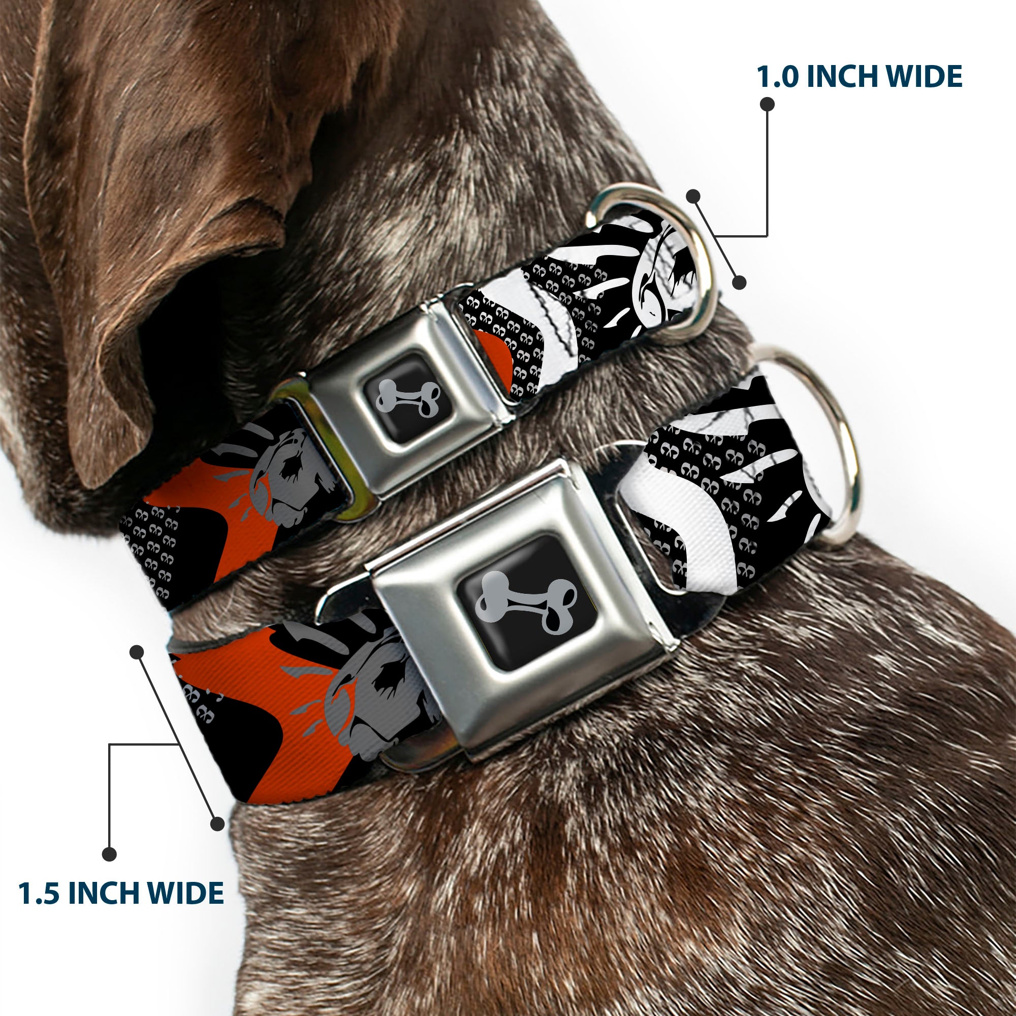 Dog Bone Seatbelt Buckle Collar - BD Die Hard Skull 01 Seatbelt Buckle Collars Buckle-Down