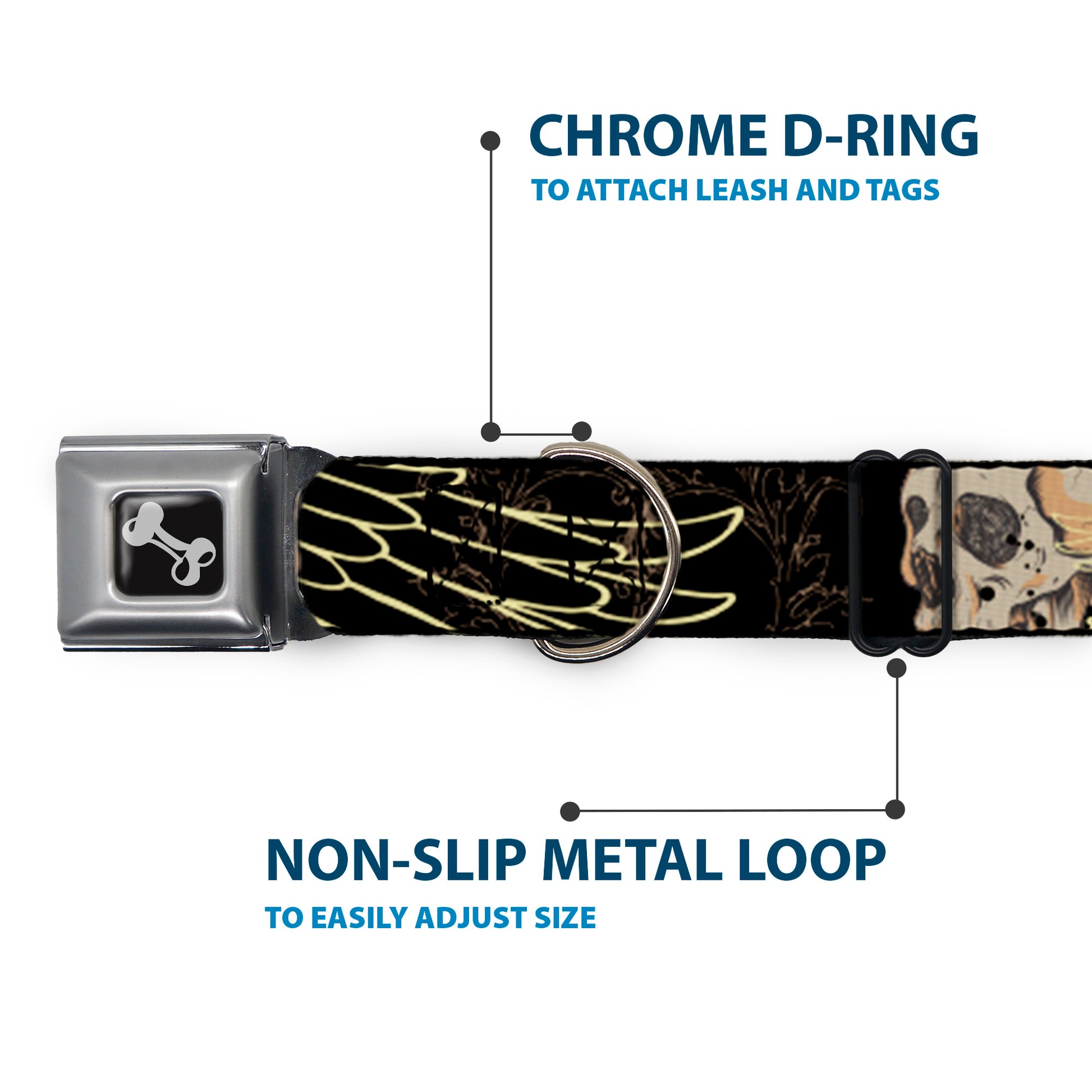 Dog Bone Seatbelt Buckle Collar - BD Die Hard Skull 01 Seatbelt Buckle Collars Buckle-Down