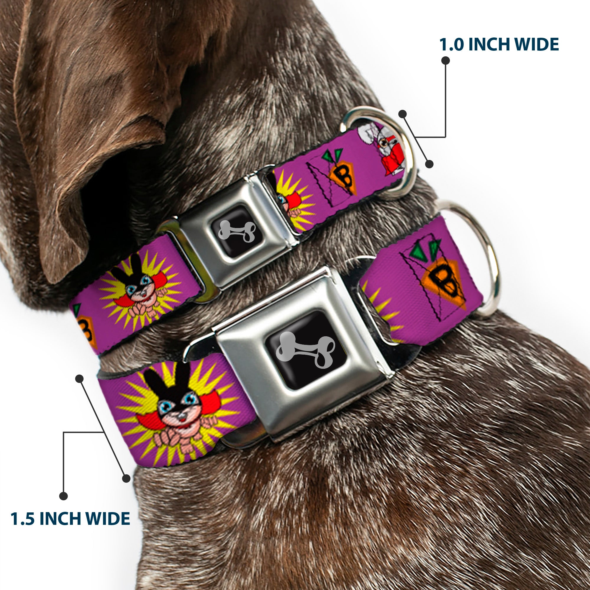 Dog Bone Seatbelt Buckle Collar - Bunny Superhero Purple Seatbelt Buckle Collars Buckle-Down