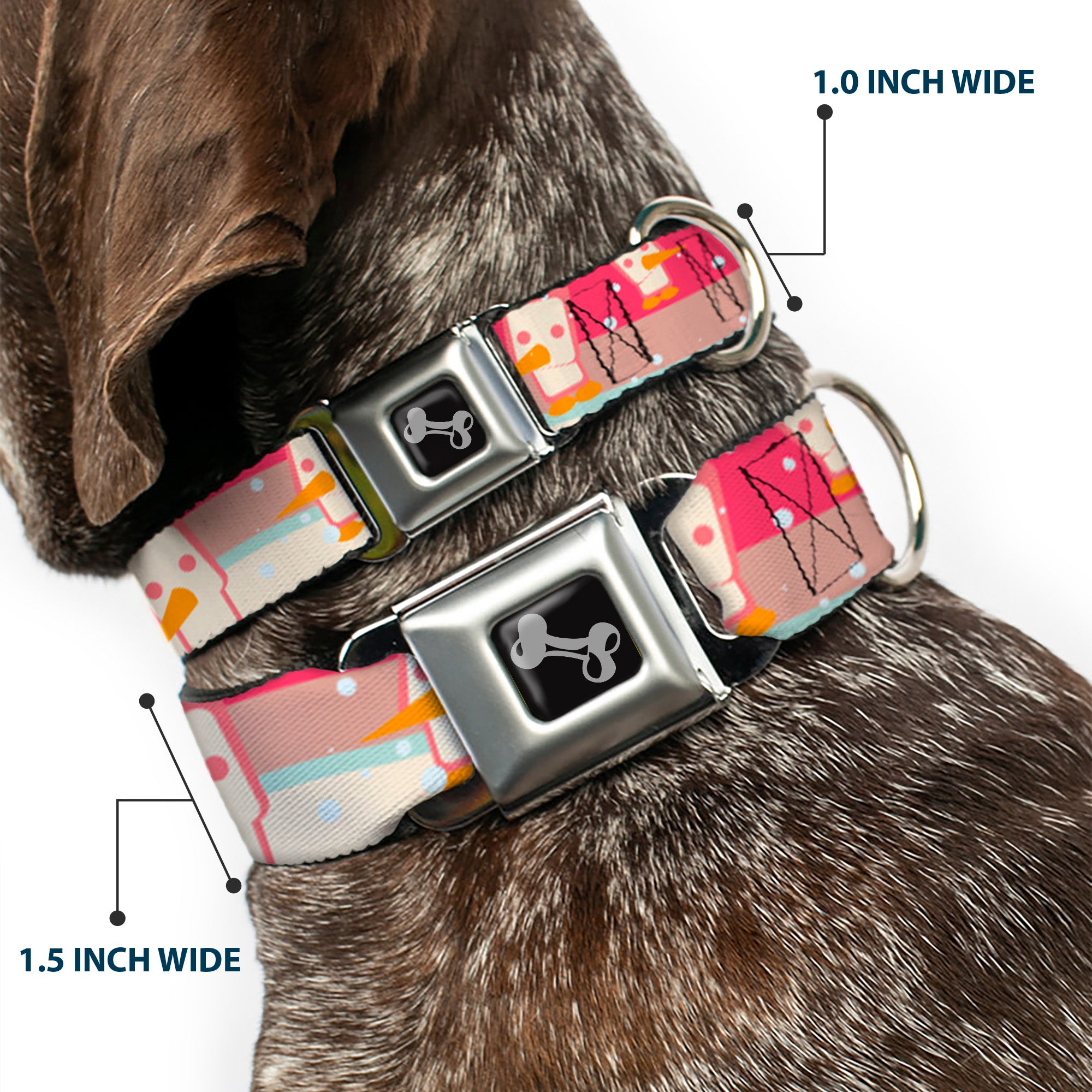 Dog Bone Seatbelt Buckle Collar - Block Penguins Mauve Seatbelt Buckle Collars Buckle-Down