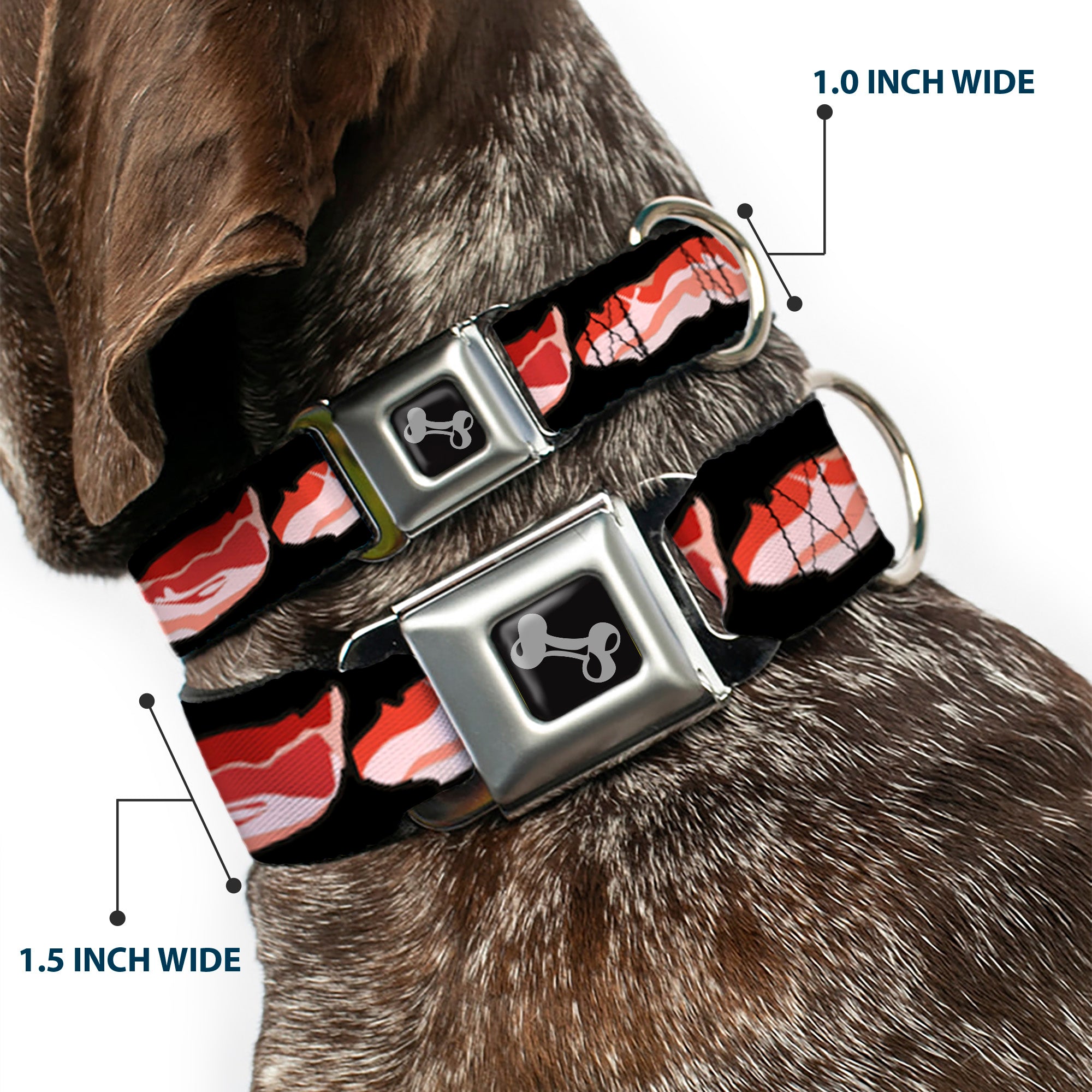 Dog Bone Seatbelt Buckle Collar - Bacon Seatbelt Buckle Collars Buckle-Down