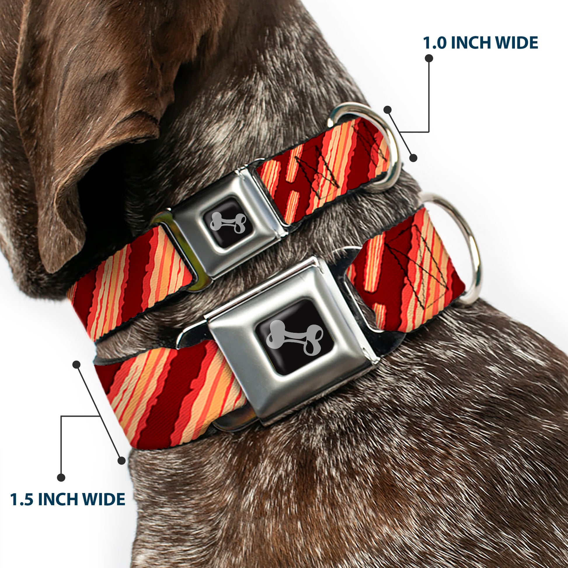 Dog Bone Seatbelt Buckle Collar - Bacon Slices Maroon Seatbelt Buckle Collars Buckle-Down