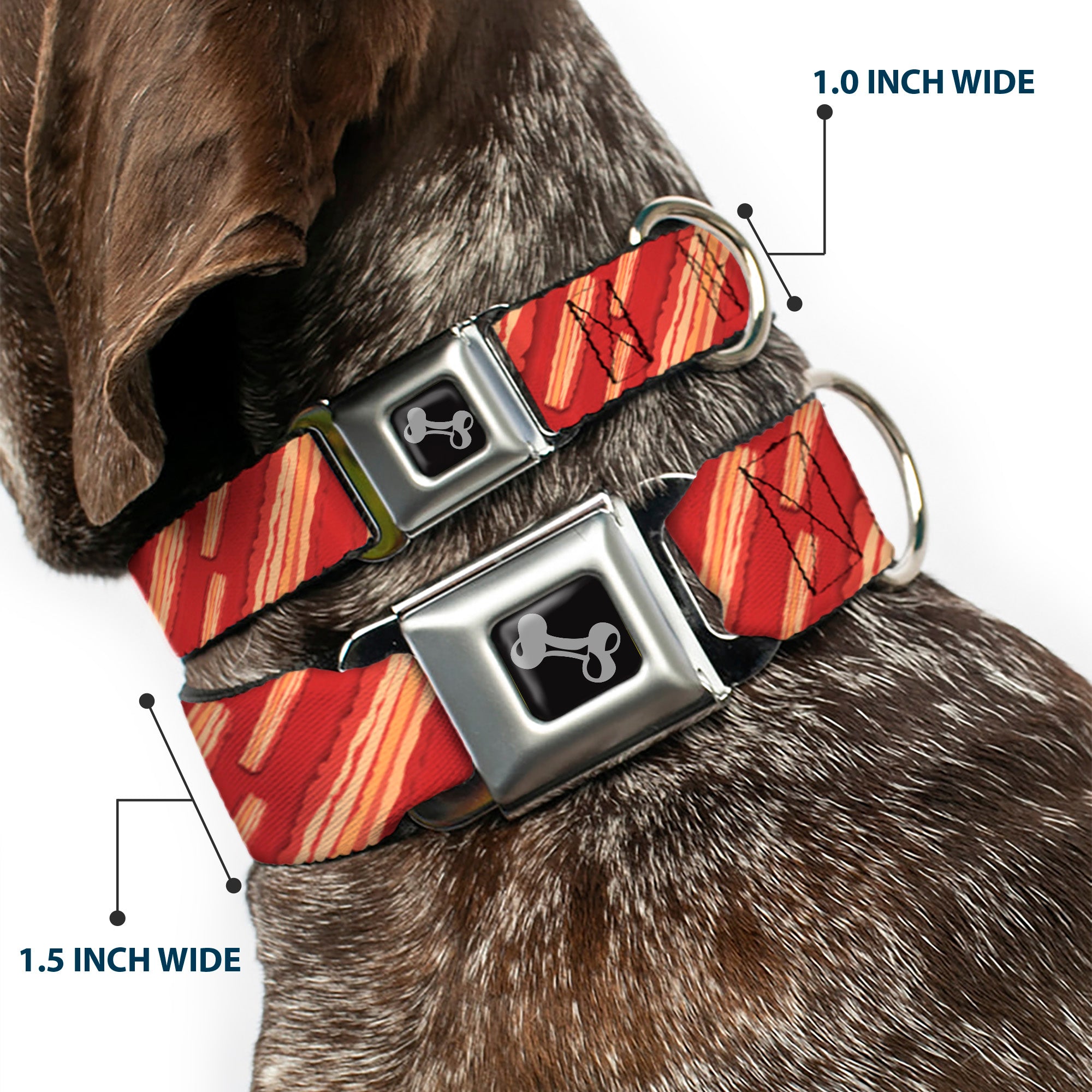 Dog Bone Seatbelt Buckle Collar - Bacon Slices Red Seatbelt Buckle Collars Buckle-Down
