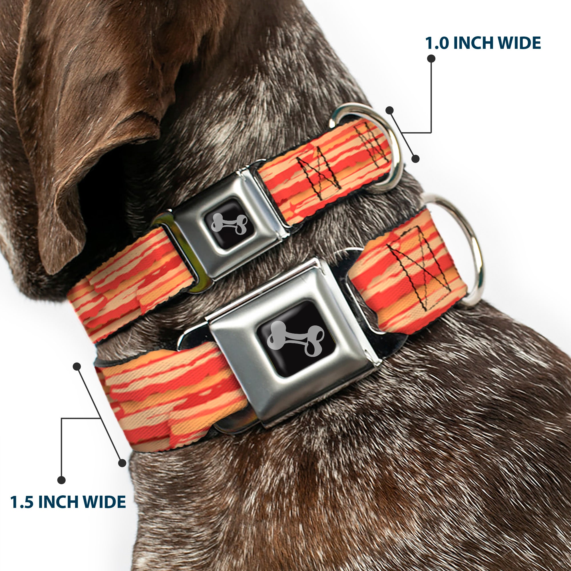 Dog Bone Seatbelt Buckle Collar - Bacon Stacked Seatbelt Buckle Collars Buckle-Down