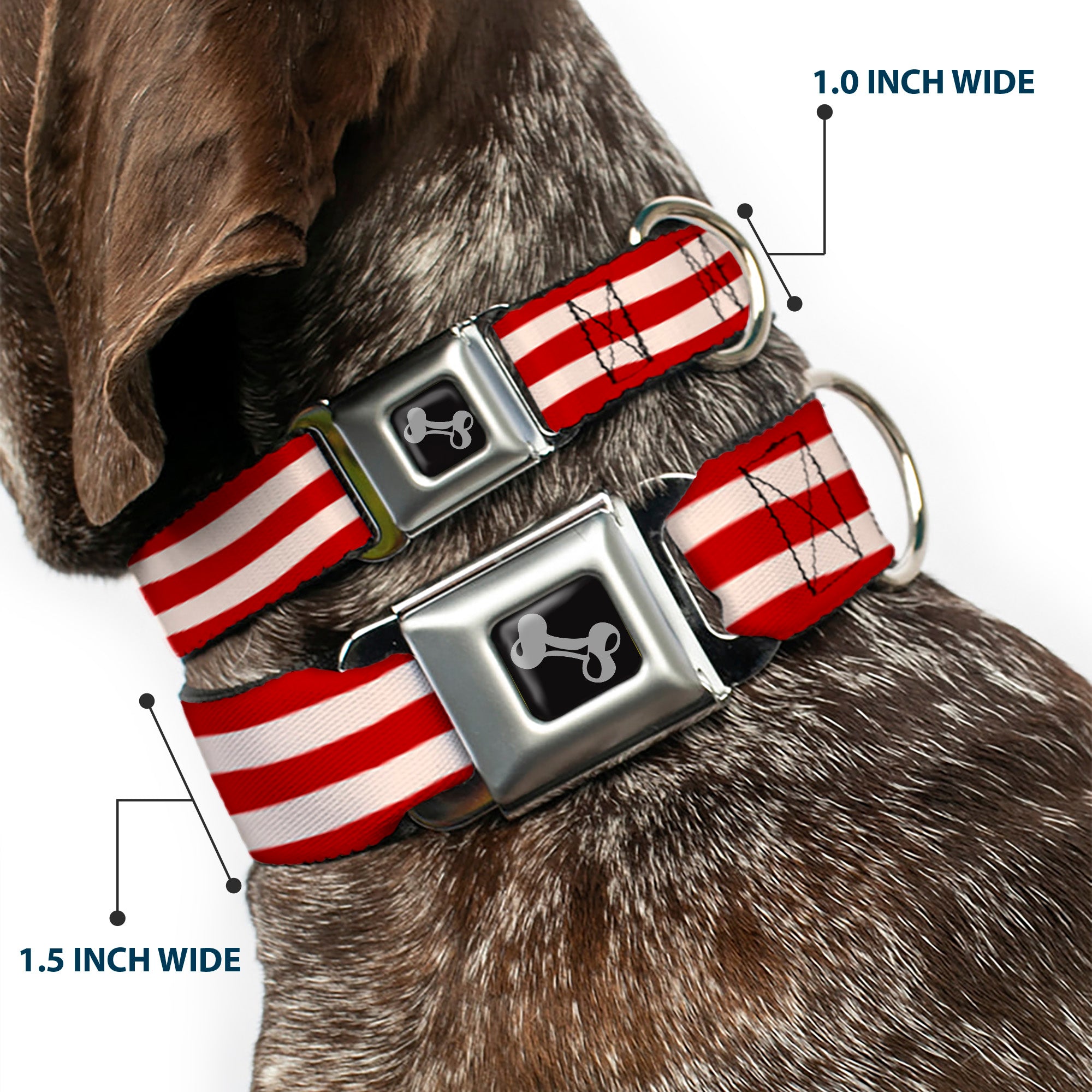 Dog Bone Seatbelt Buckle Collar - Bacon Stripe Seatbelt Buckle Collars Buckle-Down