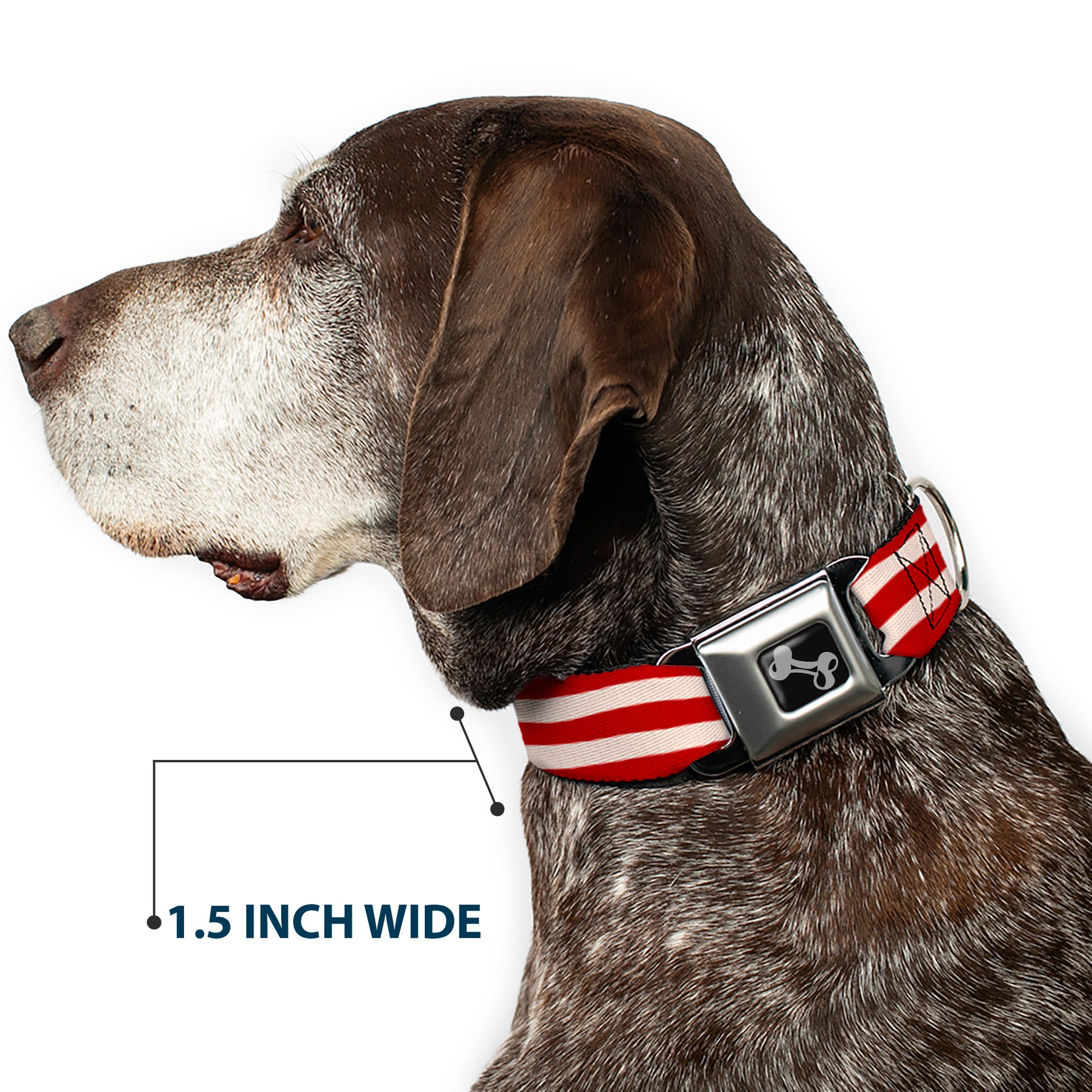 Dog Bone Seatbelt Buckle Collar - Bacon Stripe Seatbelt Buckle Collars Buckle-Down