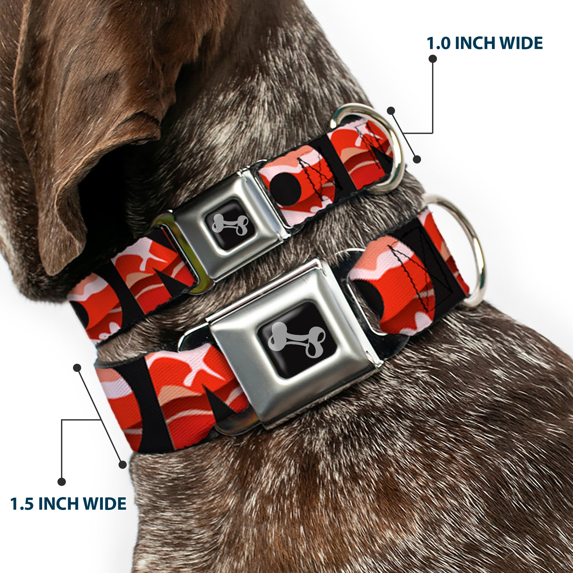 Dog Bone Seatbelt Buckle Collar - Bacon w/Text1 Seatbelt Buckle Collars Buckle-Down