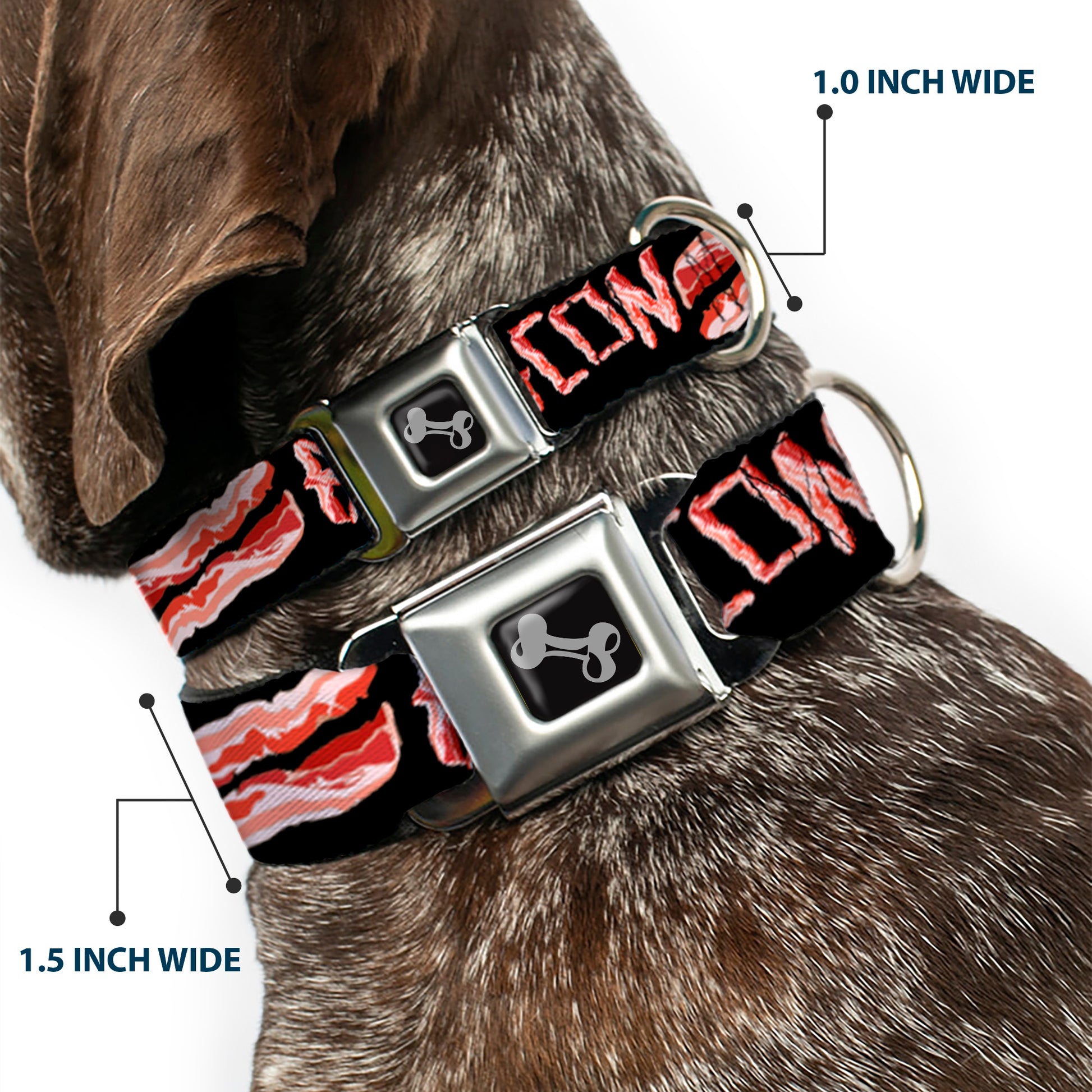 Dog Bone Seatbelt Buckle Collar - Bacon w/Text2 Seatbelt Buckle Collars Buckle-Down
