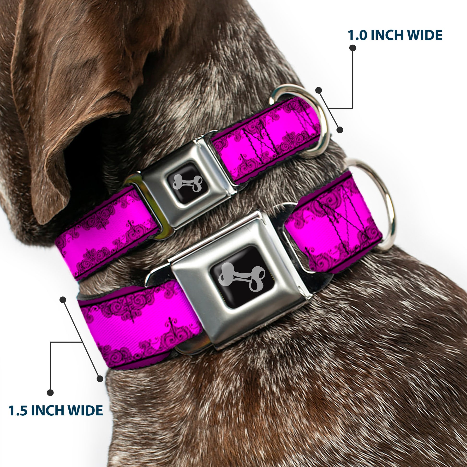 Dog Bone Seatbelt Buckle Collar - Boudoir Wallpaper Fuchsia/Black Seatbelt Buckle Collars Buckle-Down
