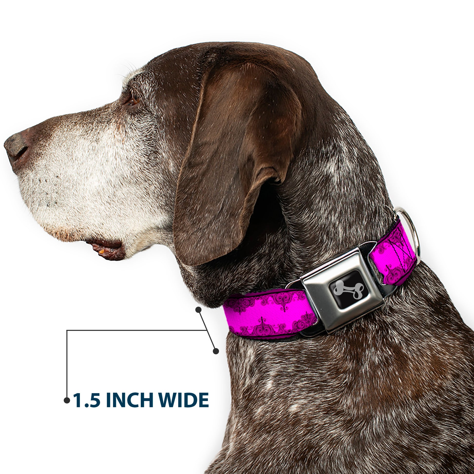 Dog Bone Seatbelt Buckle Collar - Boudoir Wallpaper Fuchsia/Black Seatbelt Buckle Collars Buckle-Down