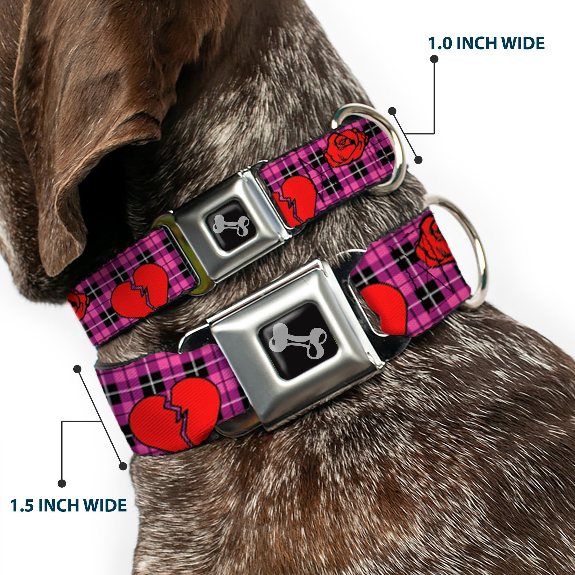 Dog Bone Seatbelt Buckle Collar - Broken Hearts & Roses w/Fuchsia Plaid Seatbelt Buckle Collars Buckle-Down