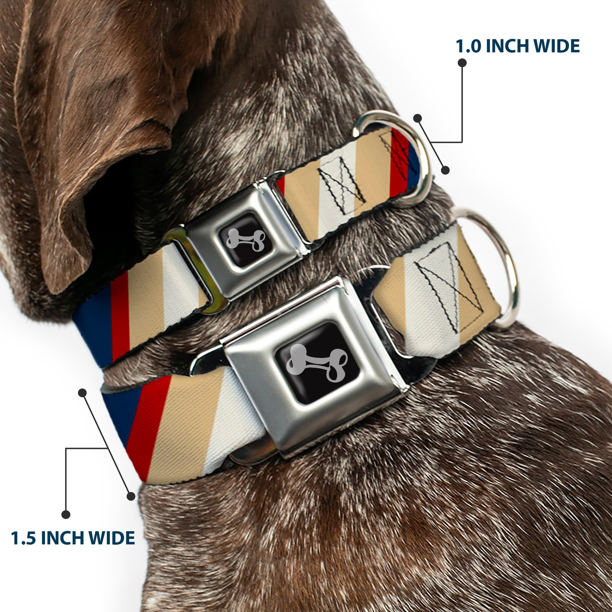 Dog Bone Seatbelt Buckle Collar - Ball/Stripes Tan/Blue/Burgundy Seatbelt Buckle Collars Buckle-Down